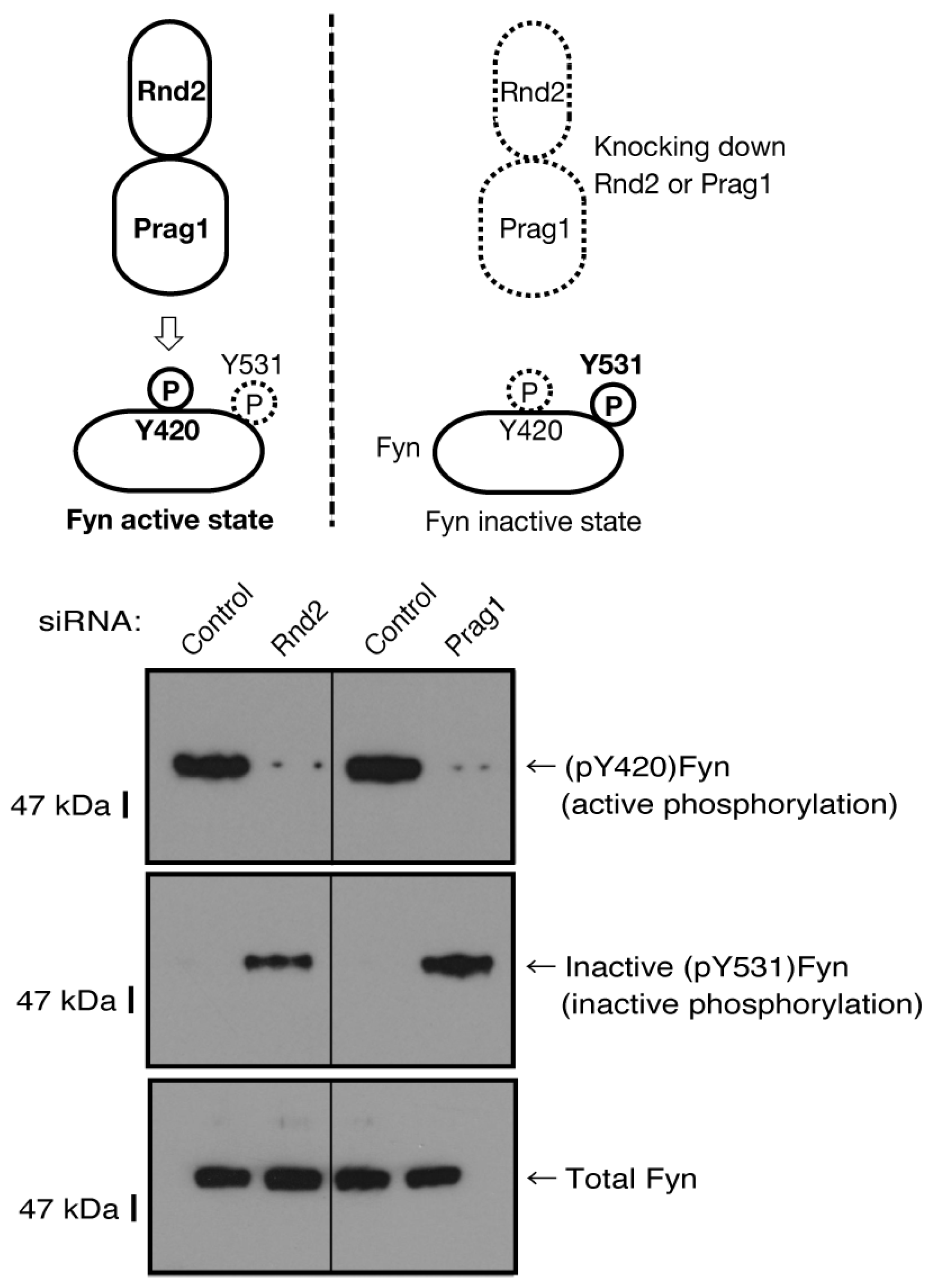Preprints 81453 g009