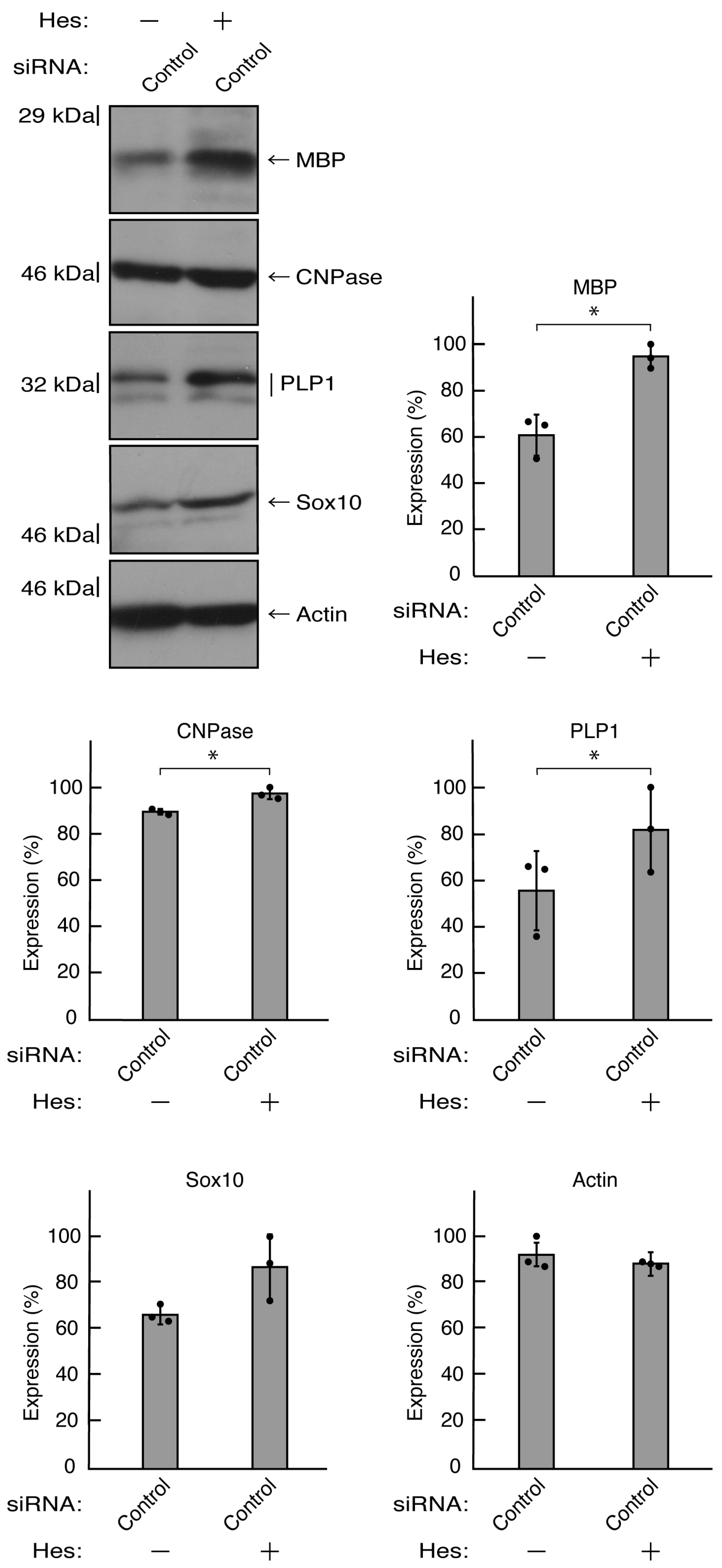 Preprints 81453 g011