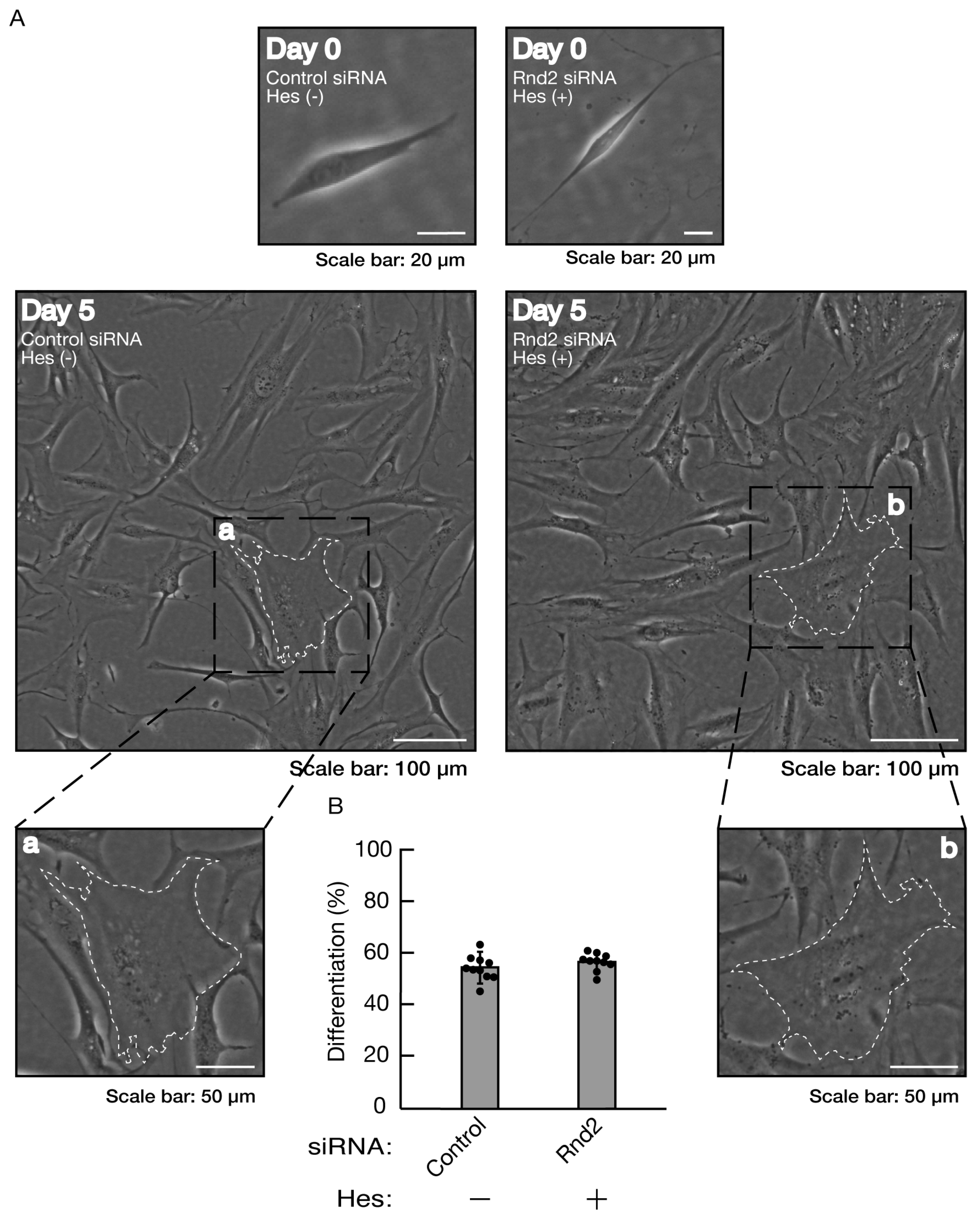 Preprints 81453 g012