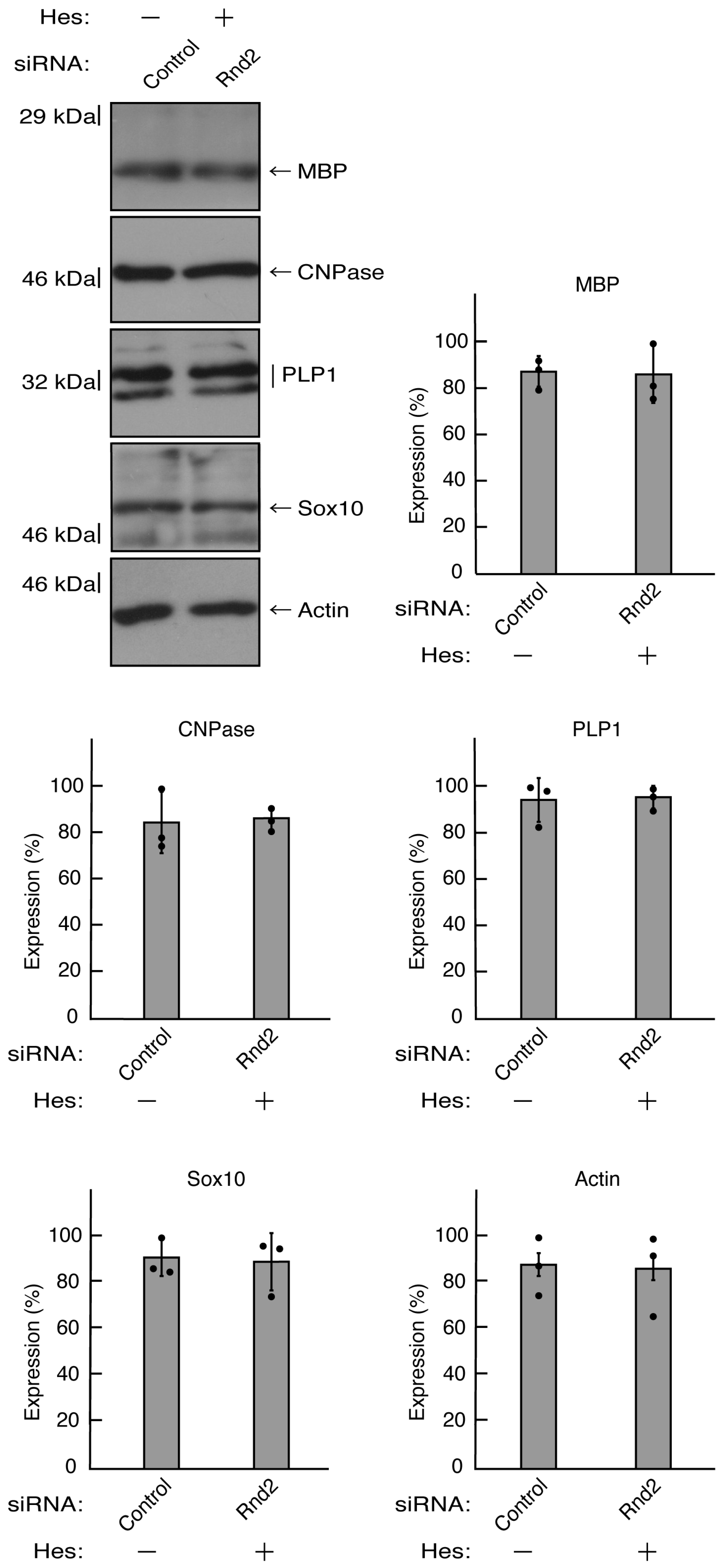 Preprints 81453 g013