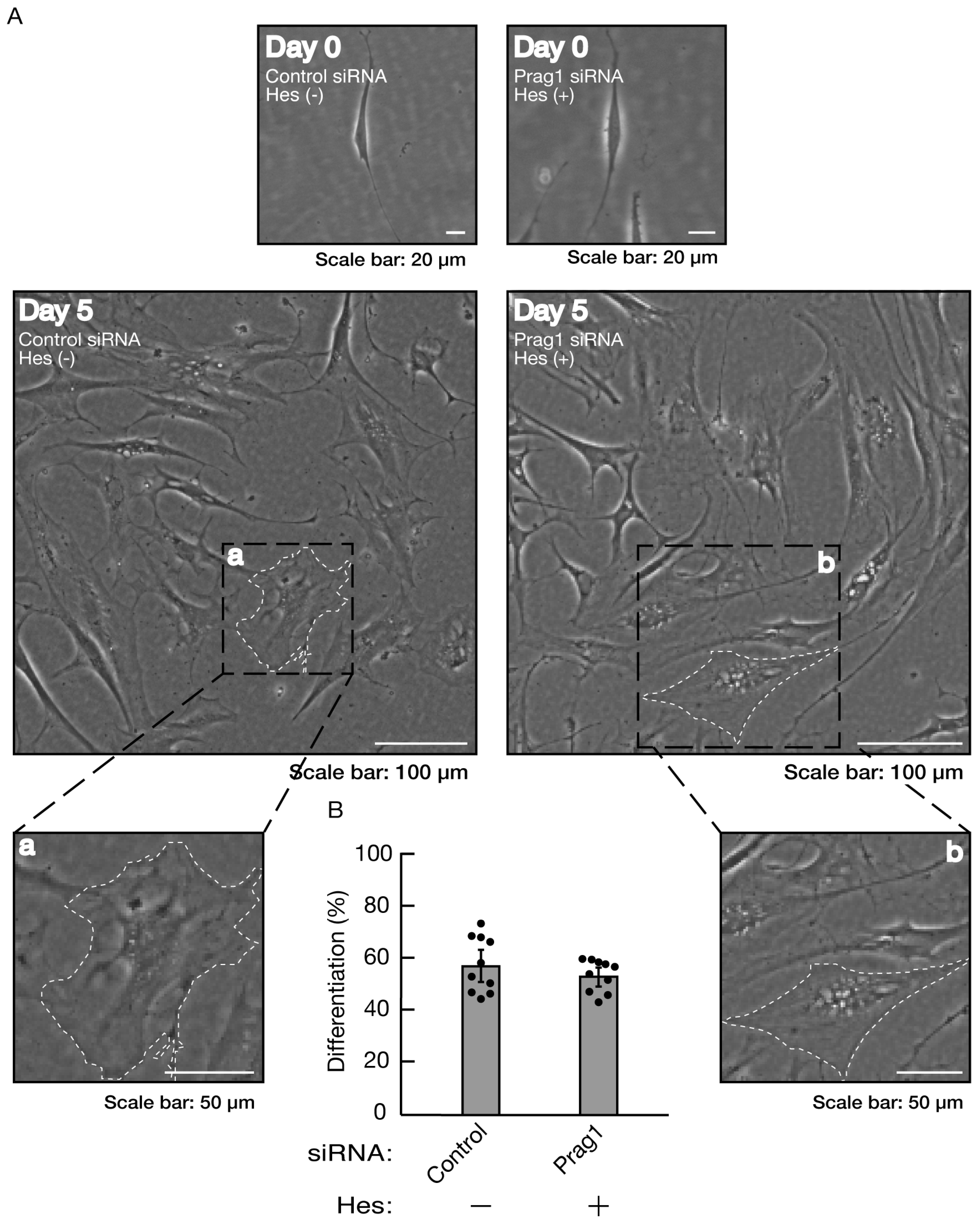 Preprints 81453 g014