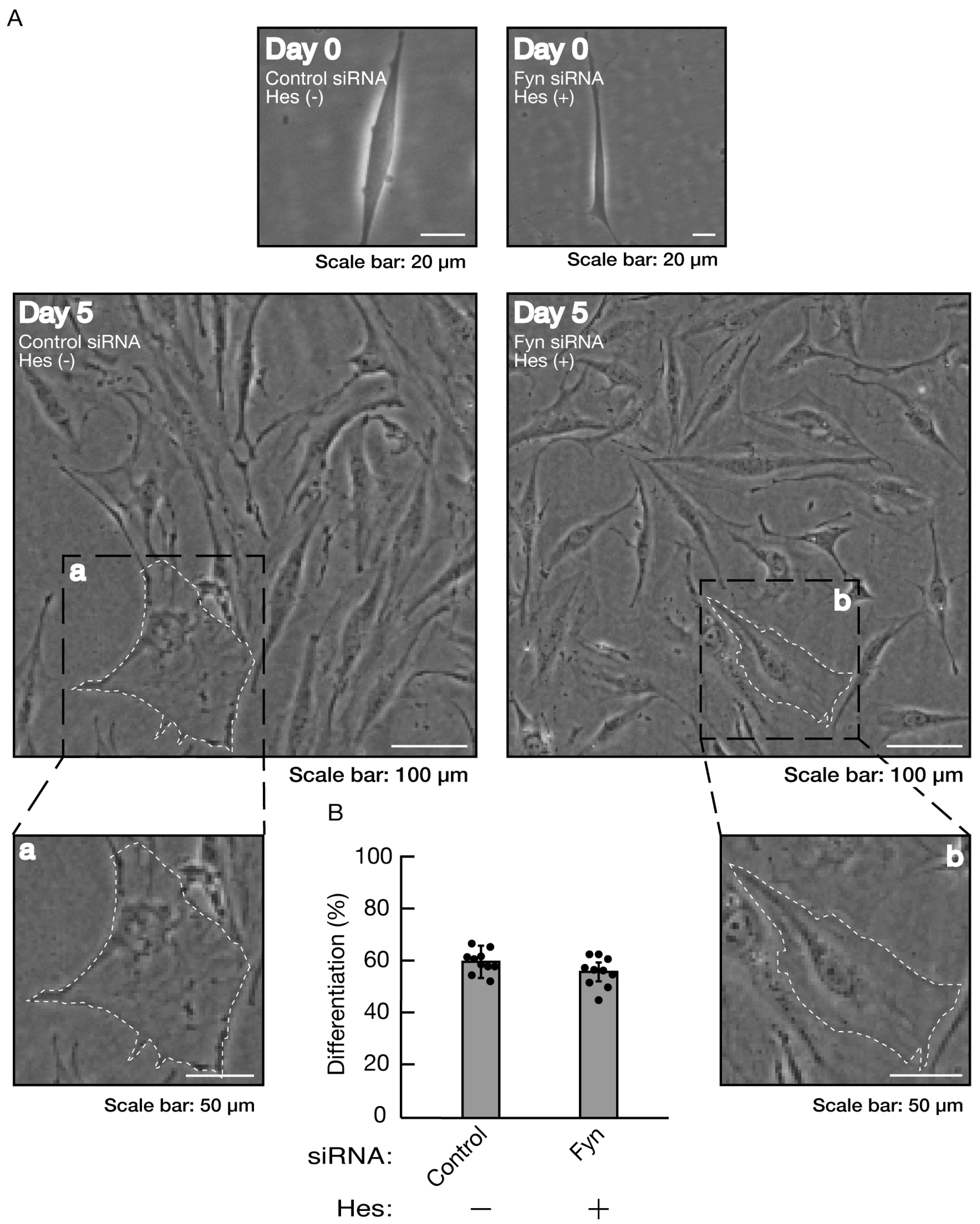 Preprints 81453 g016