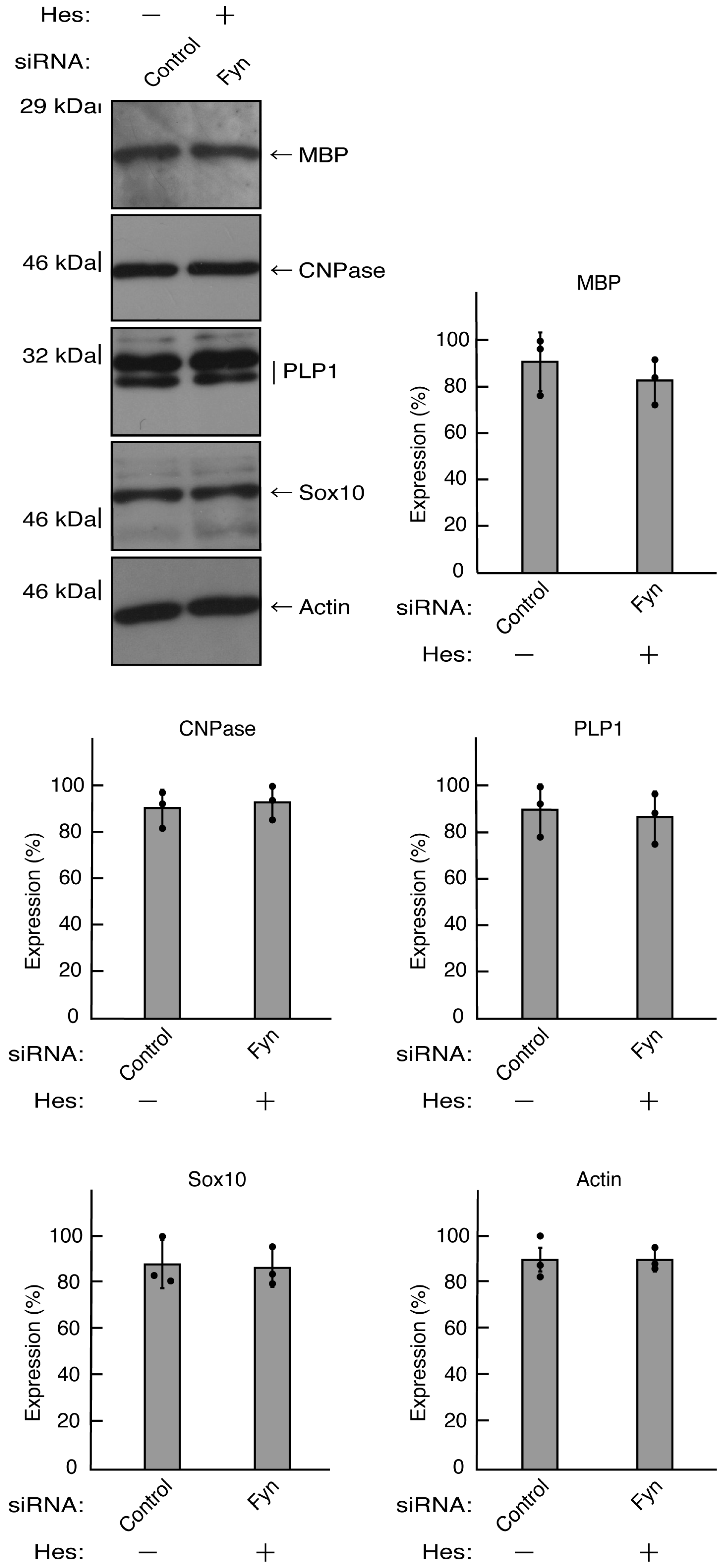 Preprints 81453 g017