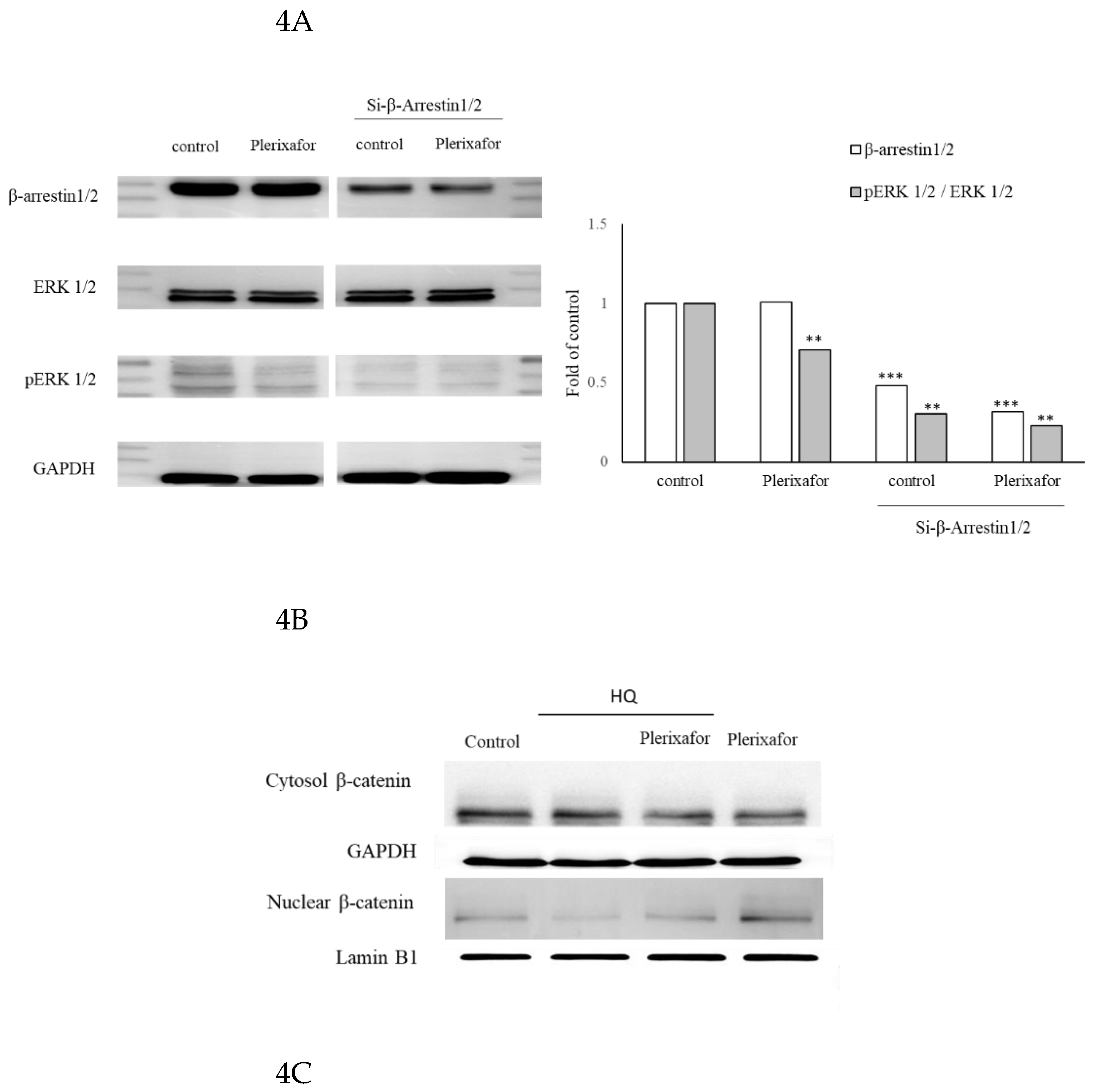Preprints 204545 g004a