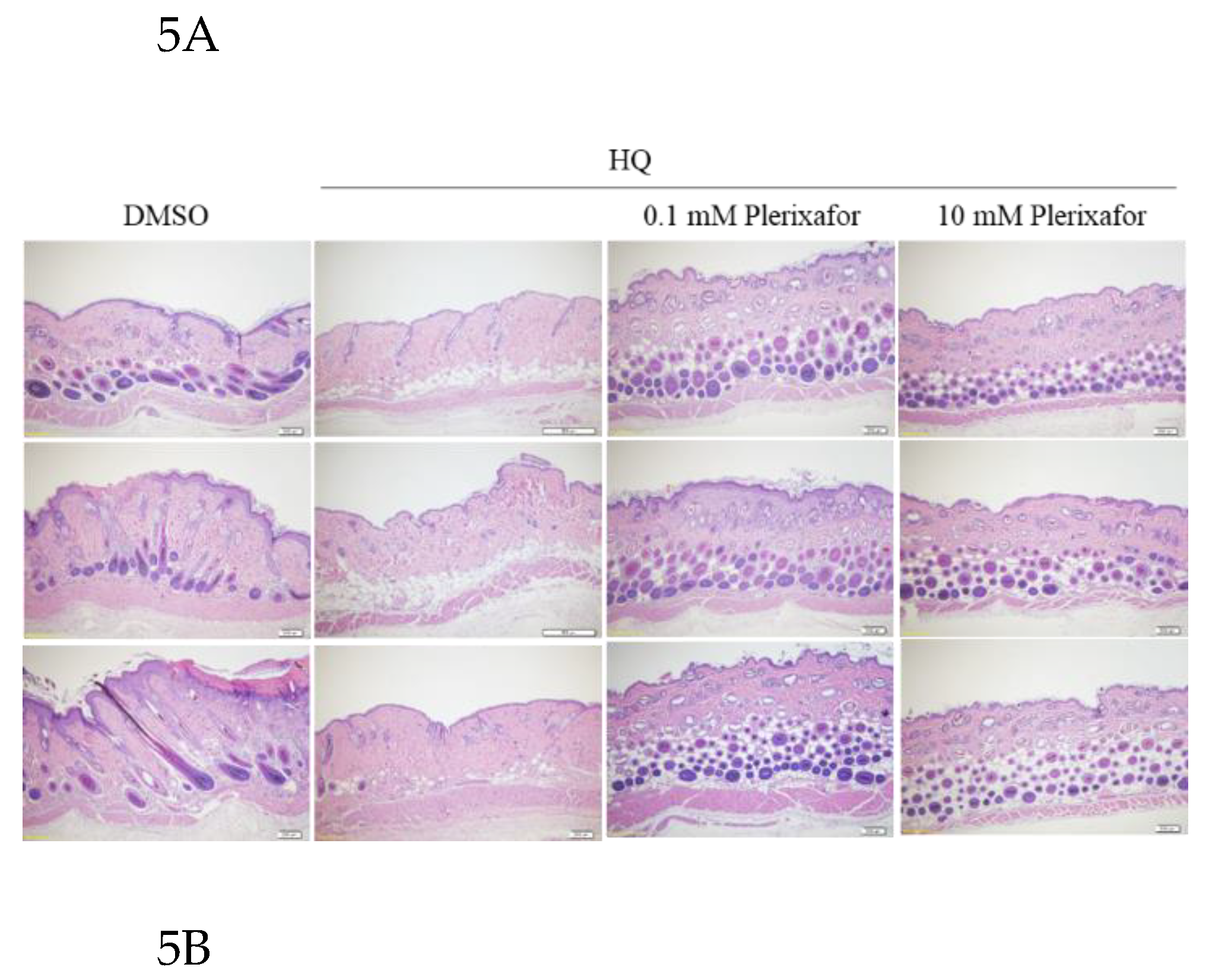 Preprints 204545 g005a