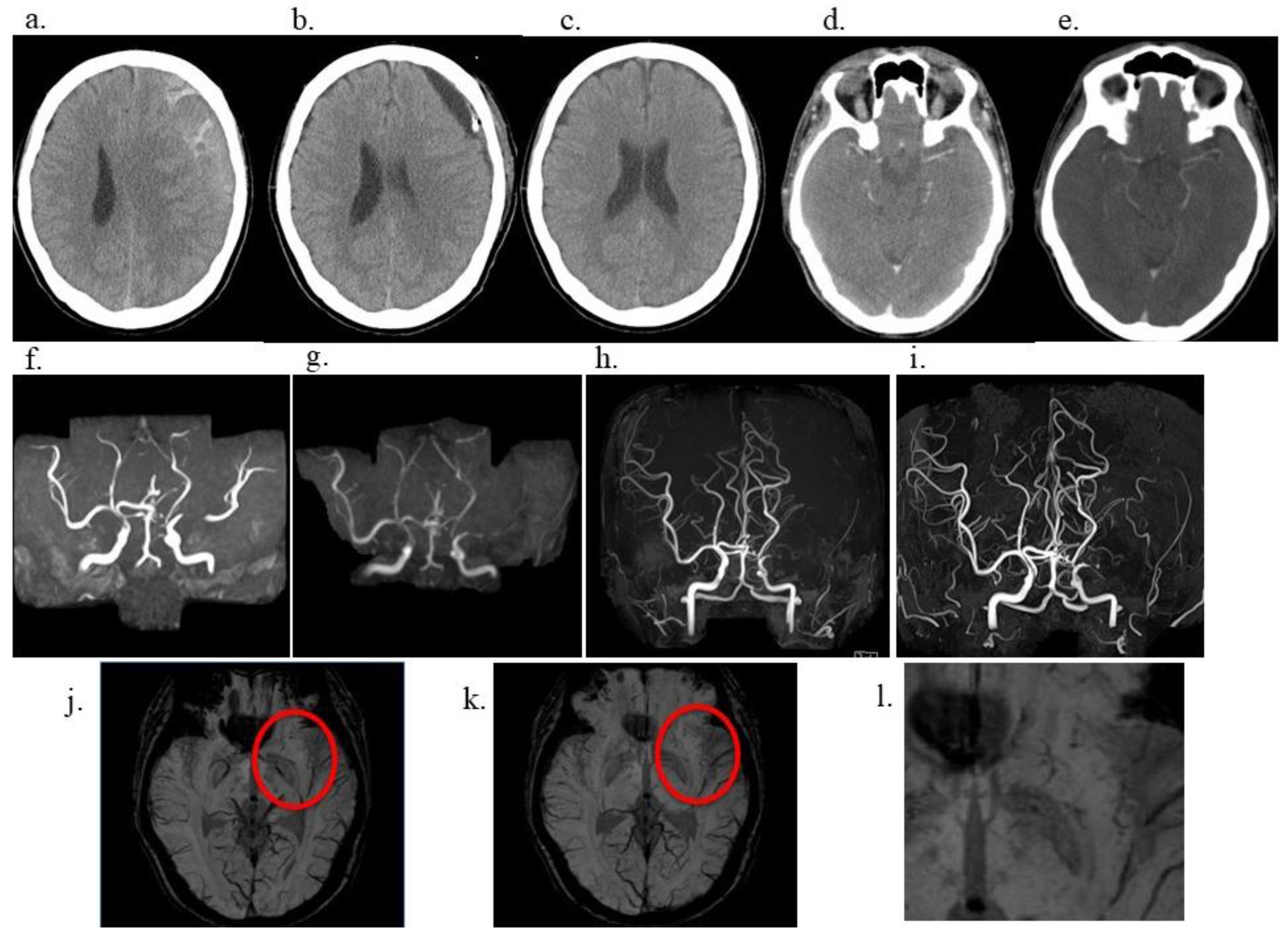 Preprints 181283 g001