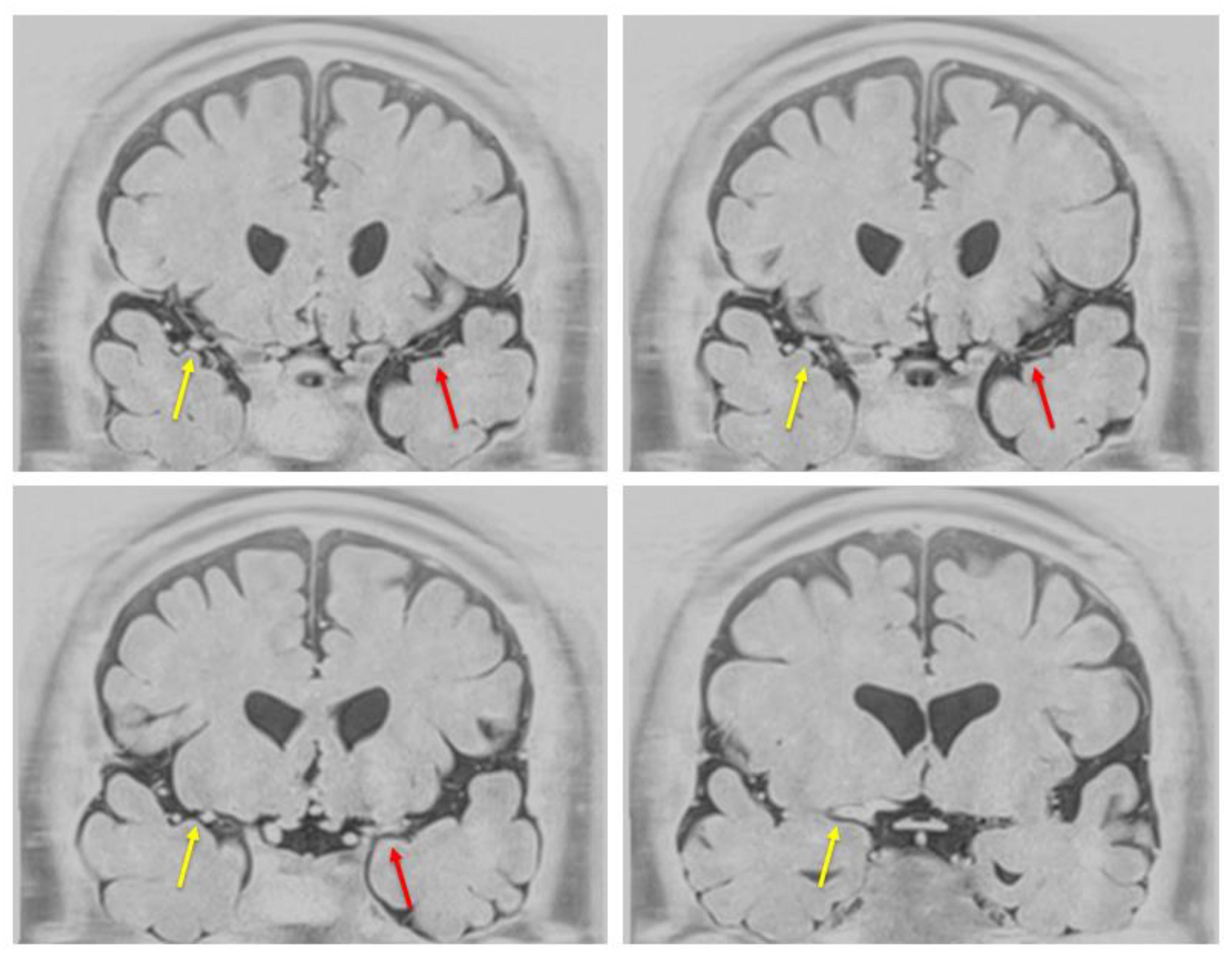 Preprints 181283 g002