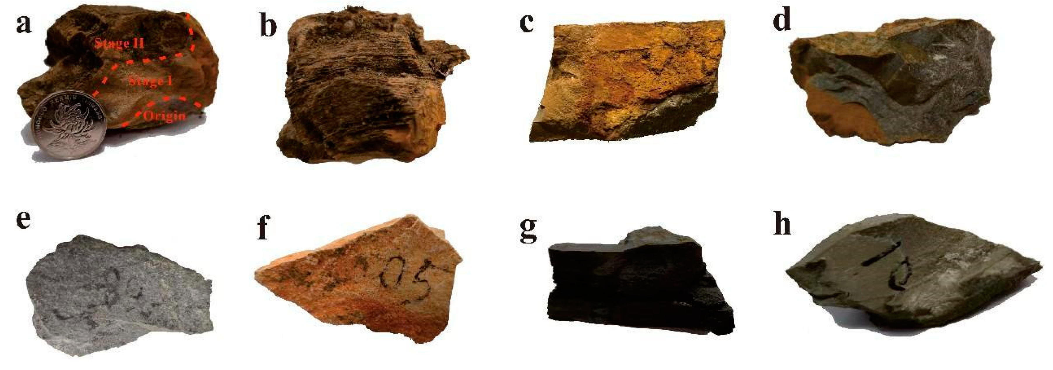 Preprints 154872 g002