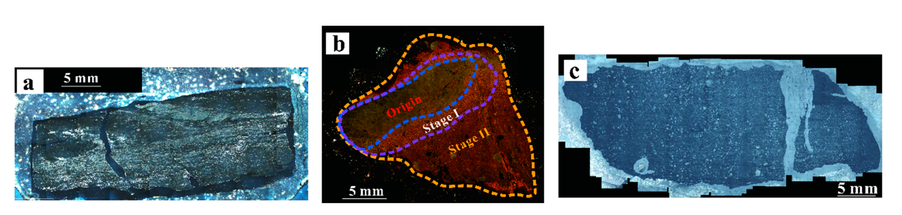 Preprints 154872 g003