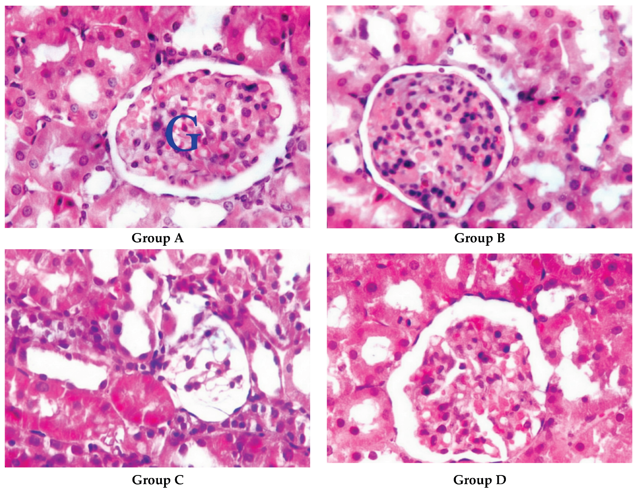 Preprints 192133 g004