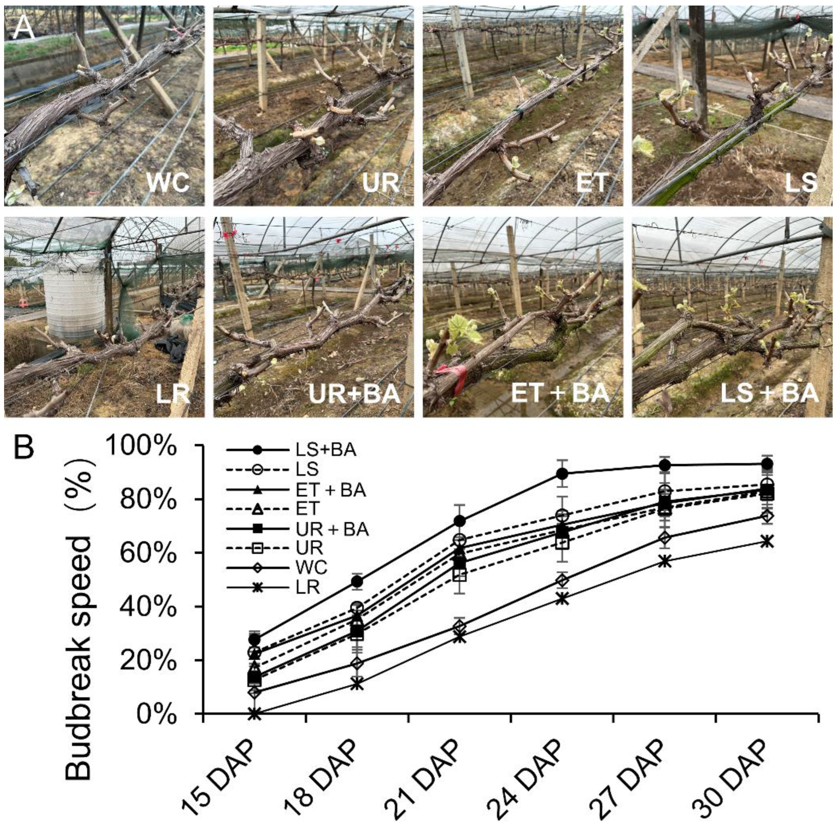 Preprints 193329 g001
