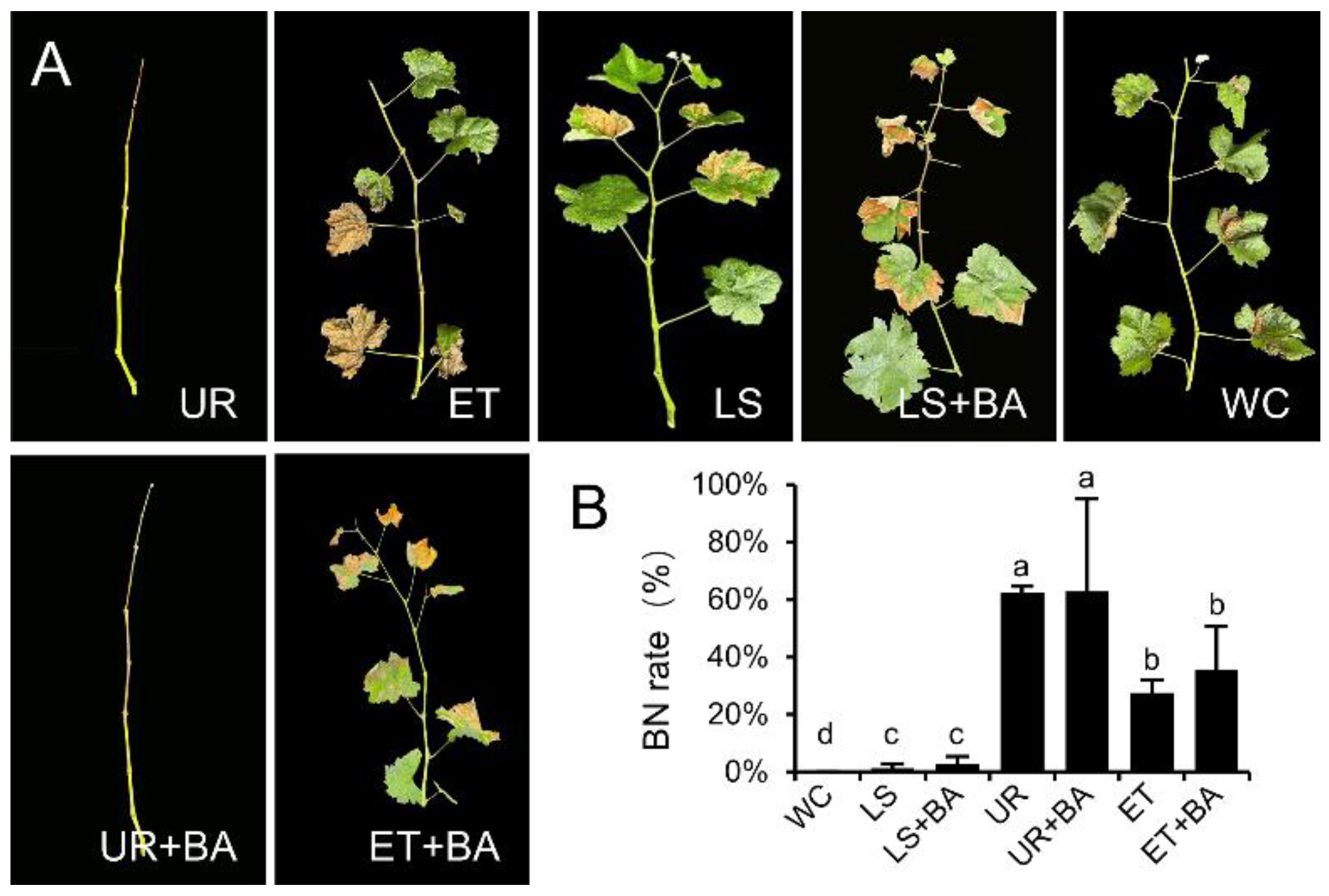 Preprints 193329 g003
