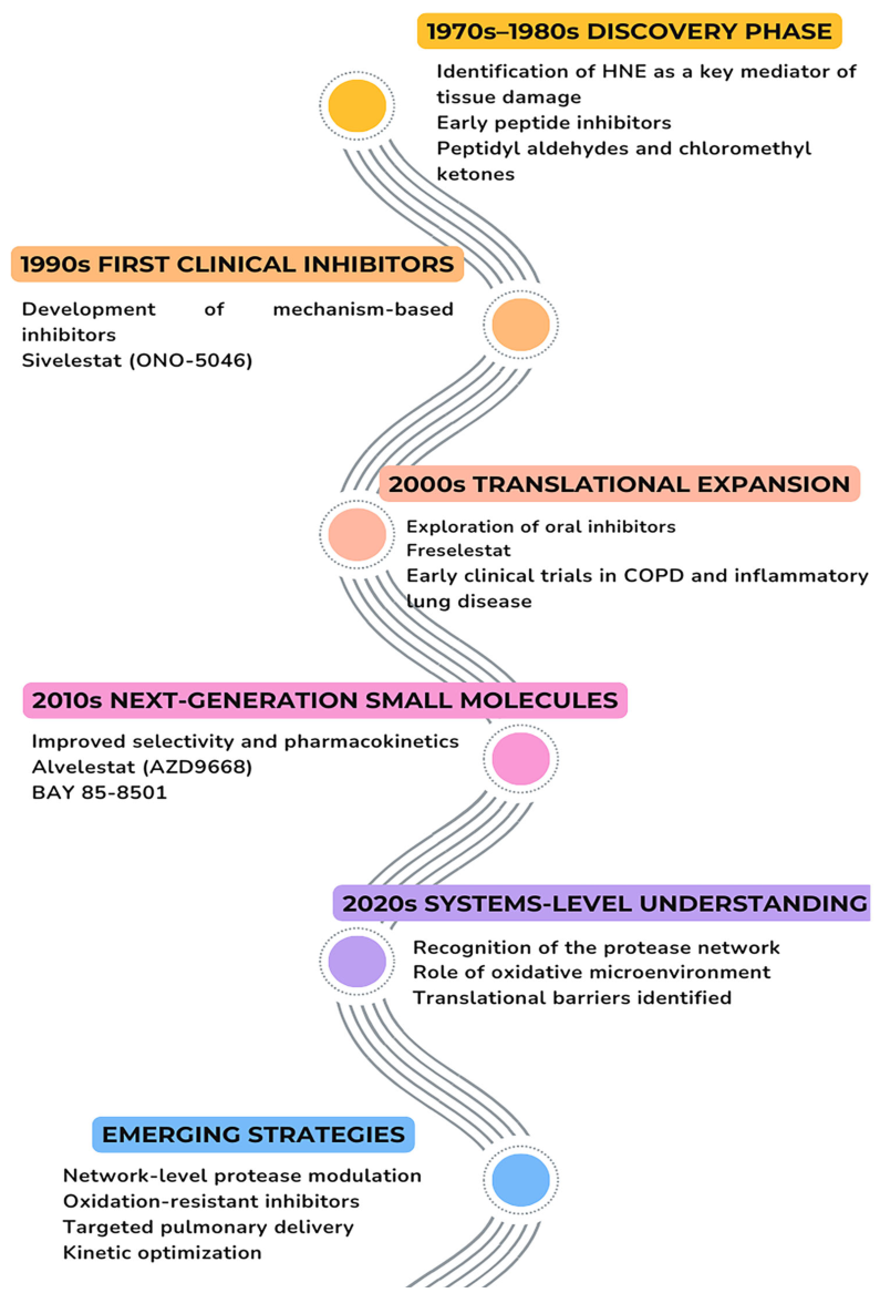 Preprints 206355 g002 Preprints 206355 g002