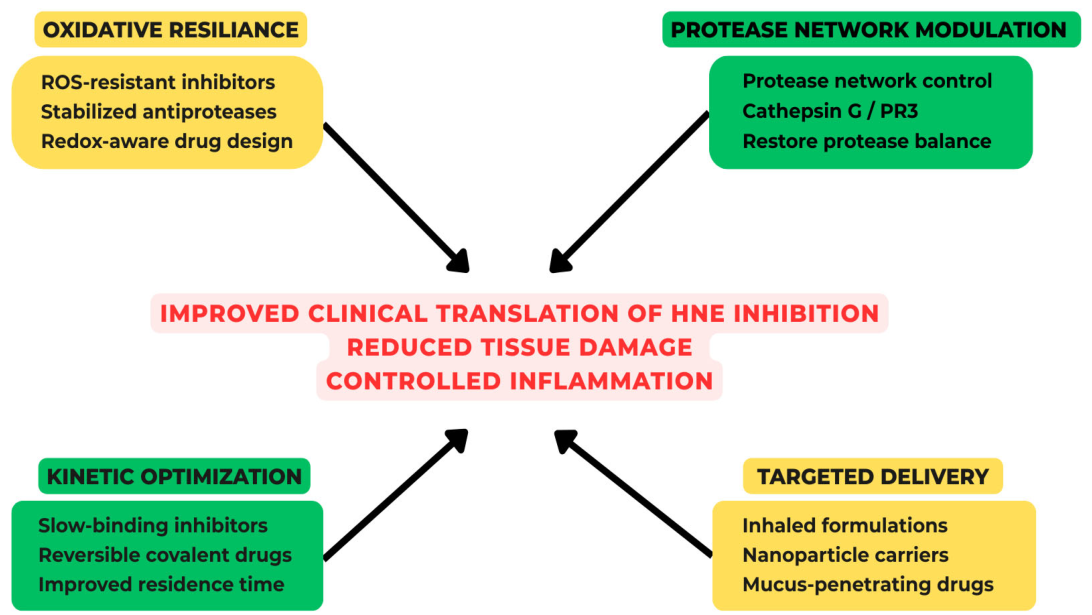 Preprints 206355 g003 Preprints 206355 g003