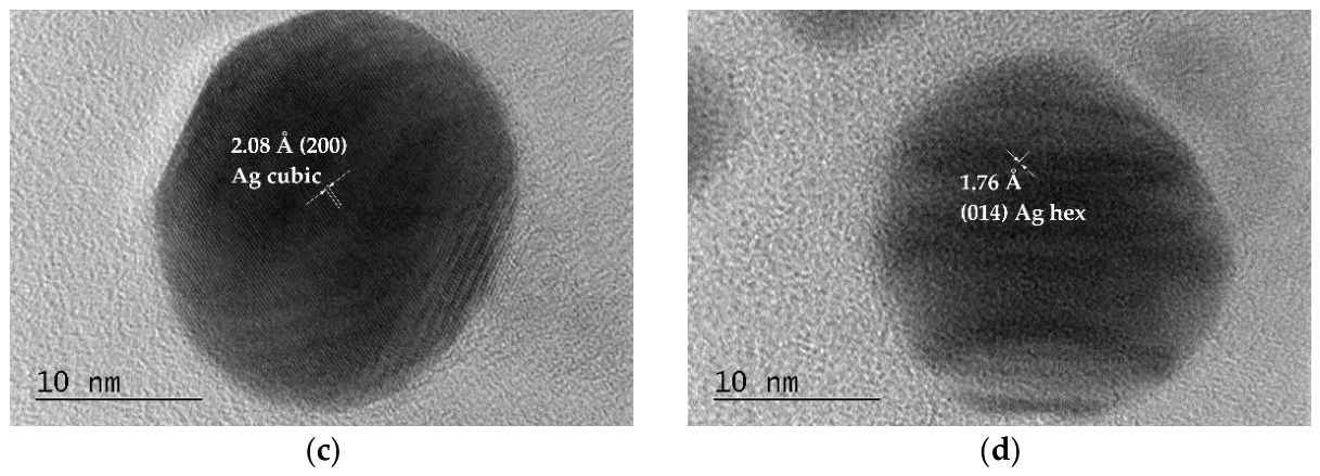 Preprints 229483 g002b