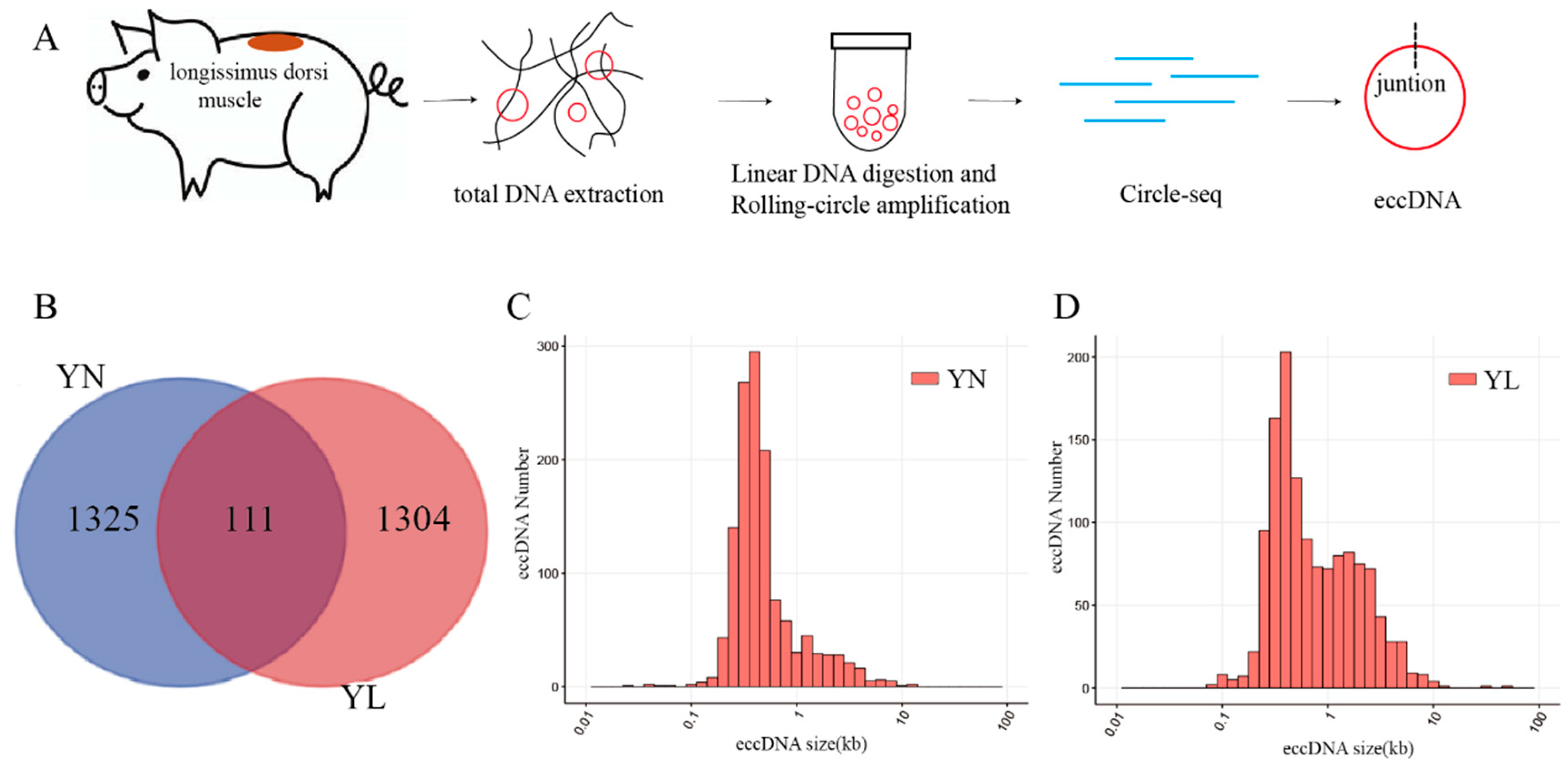 Preprints 143043 g001