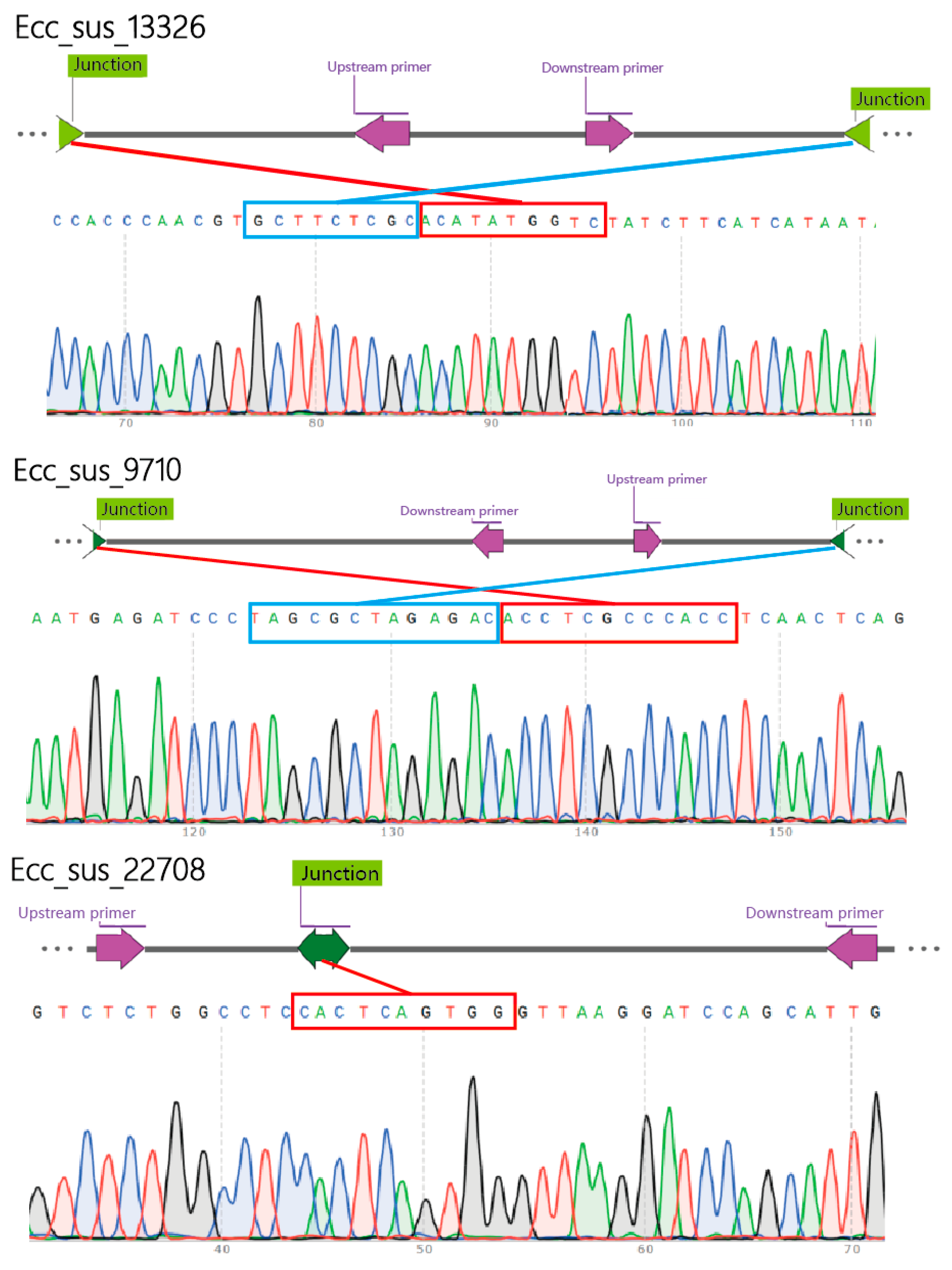 Preprints 143043 g003