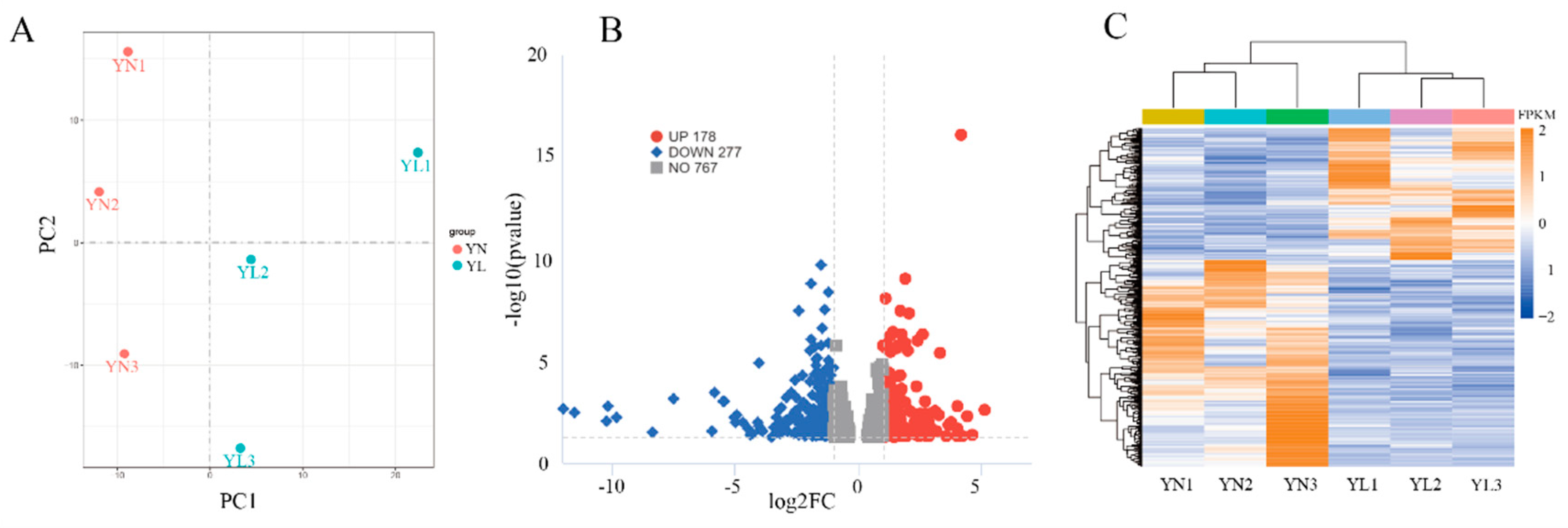 Preprints 143043 g004