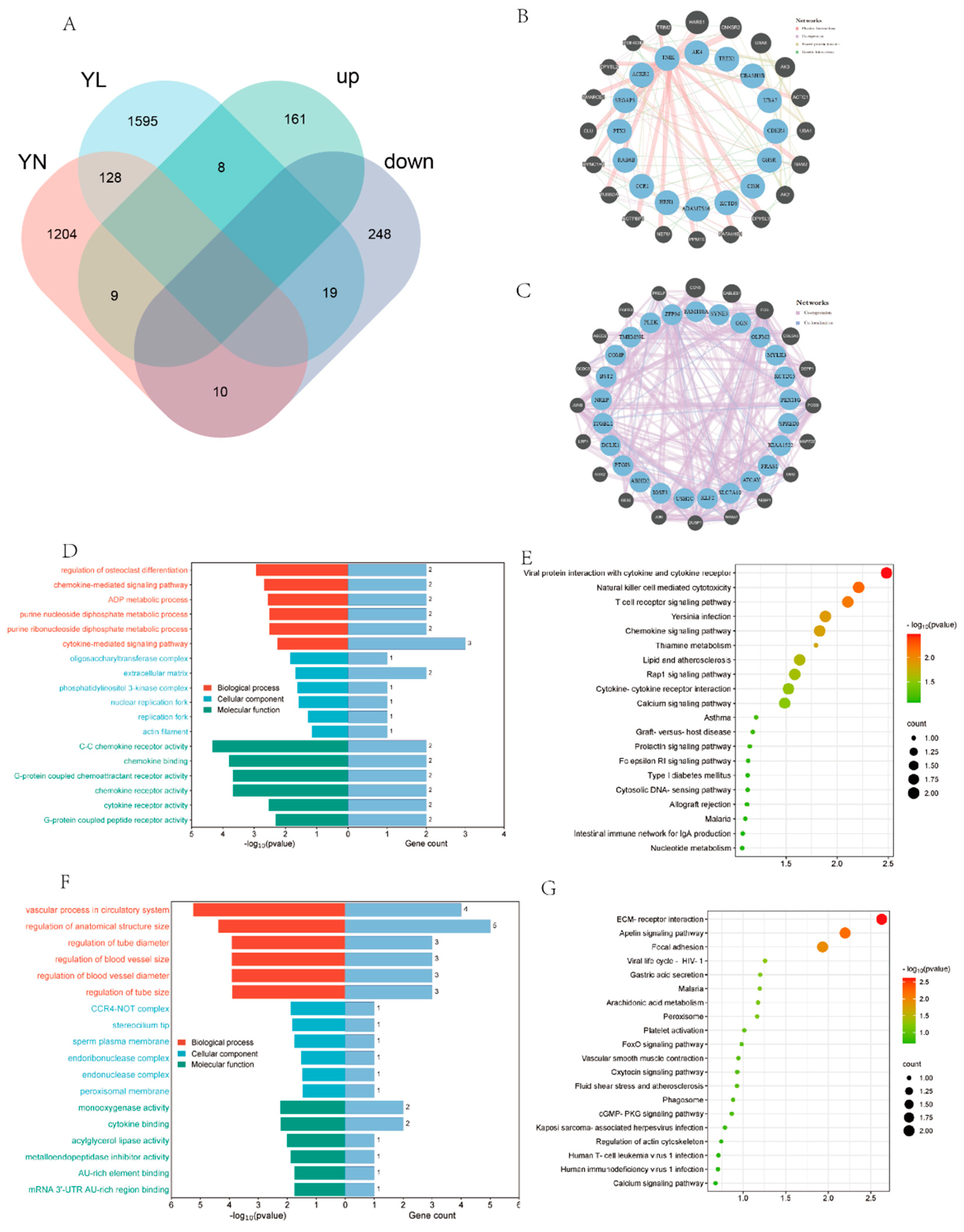Preprints 143043 g005