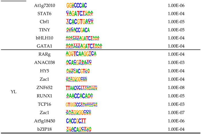 Preprints 143043 i001b