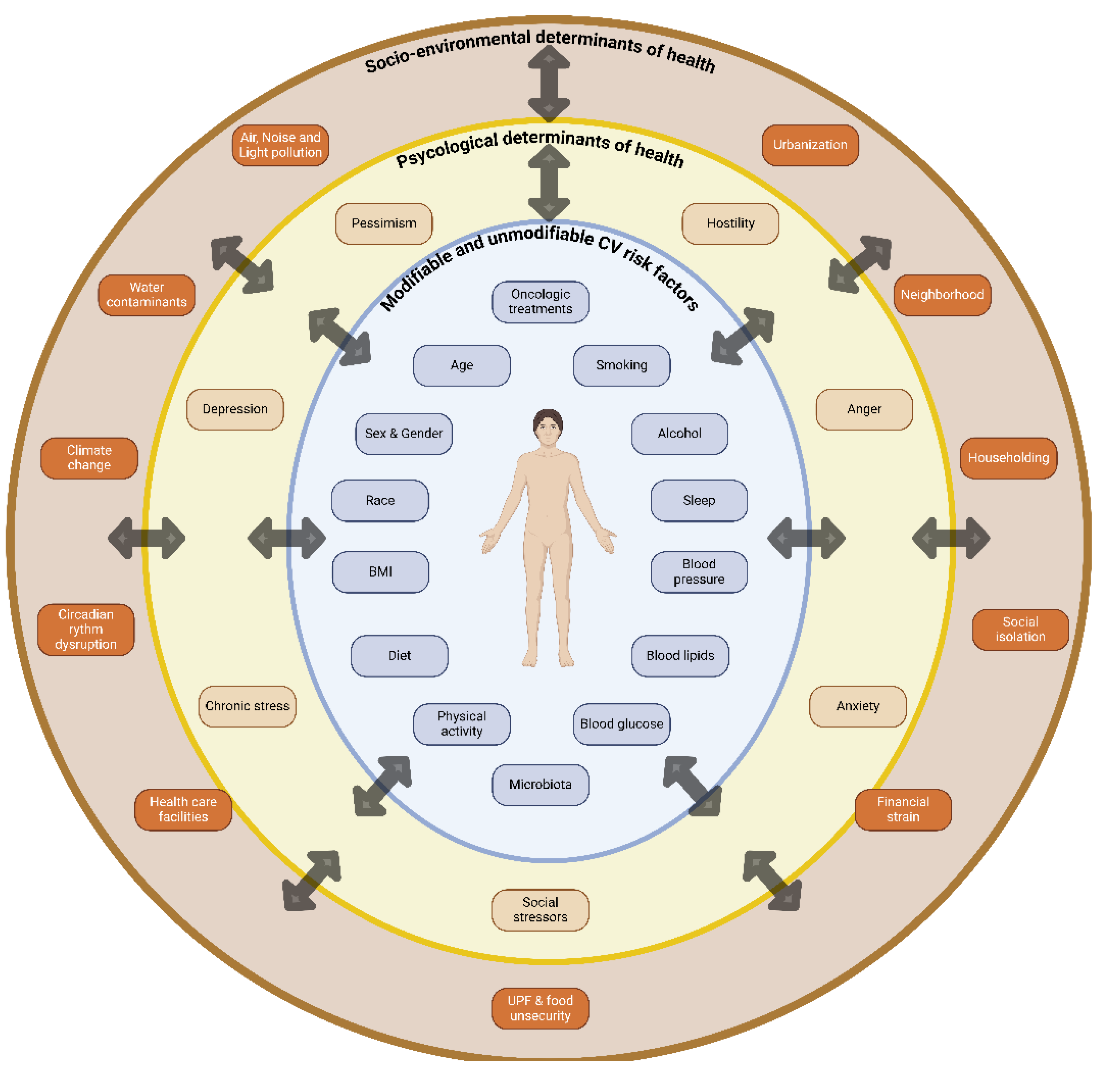 Preprints 139978 g001