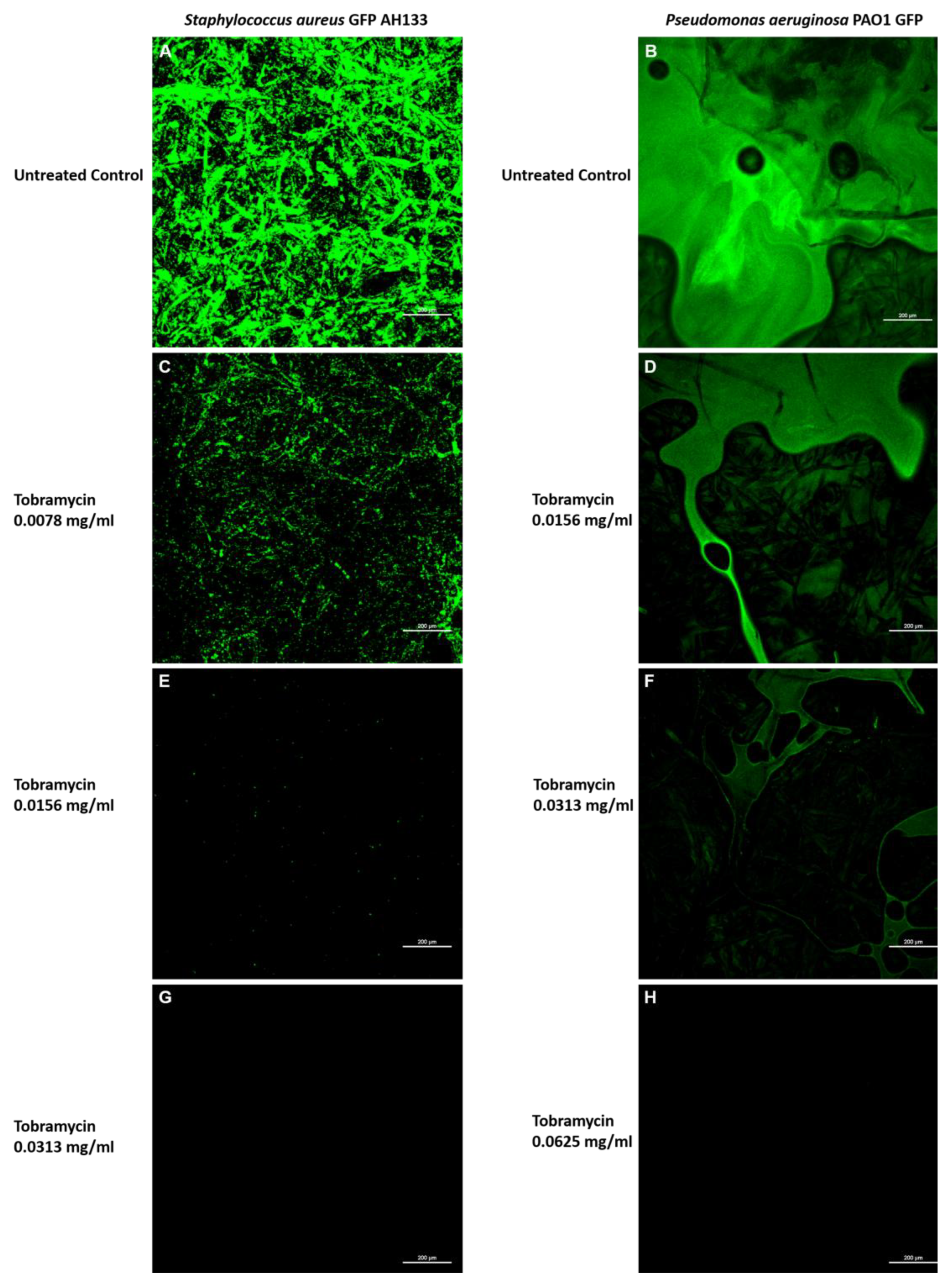 Preprints 154642 g005