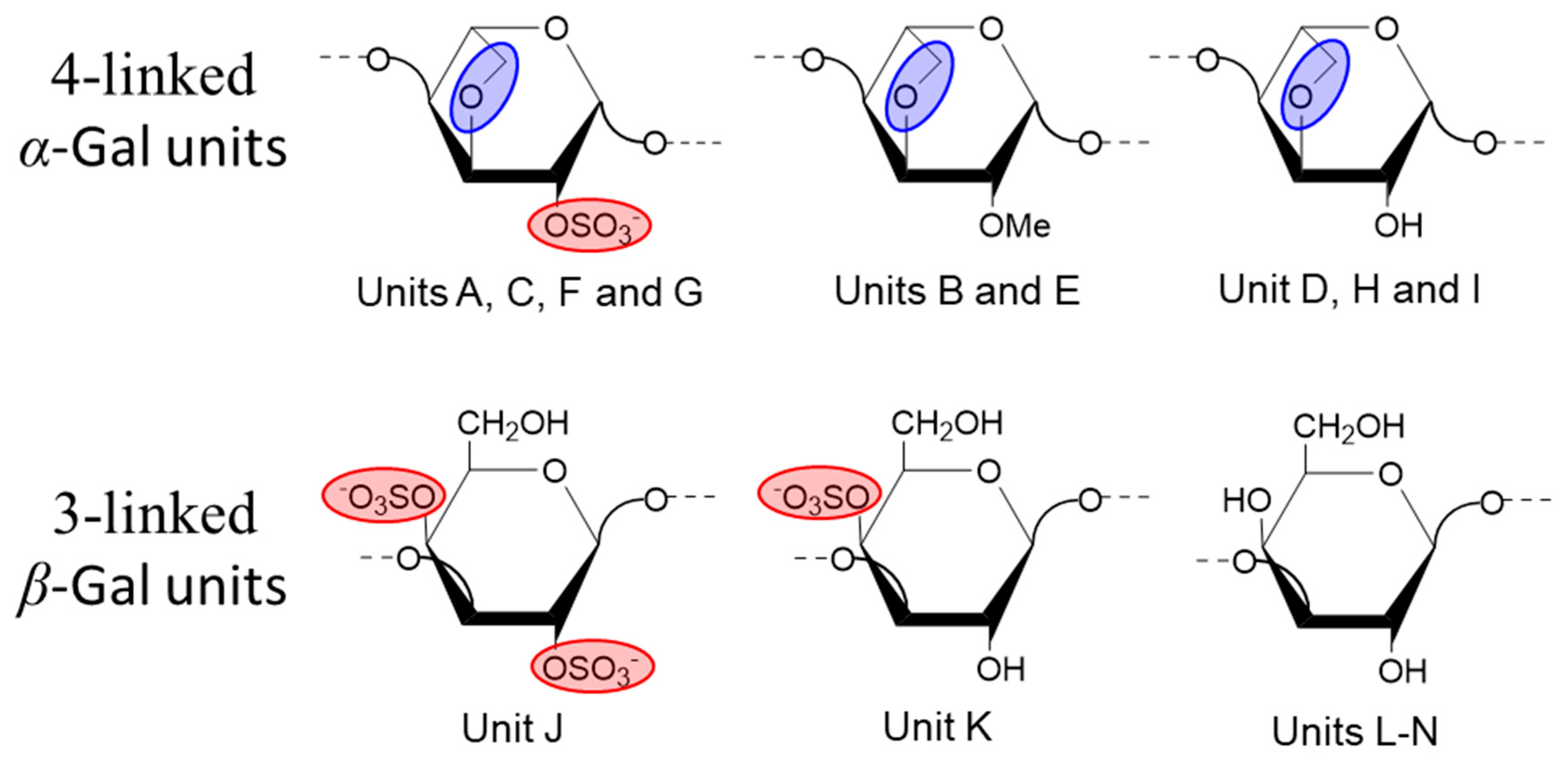 Preprints 96482 g004