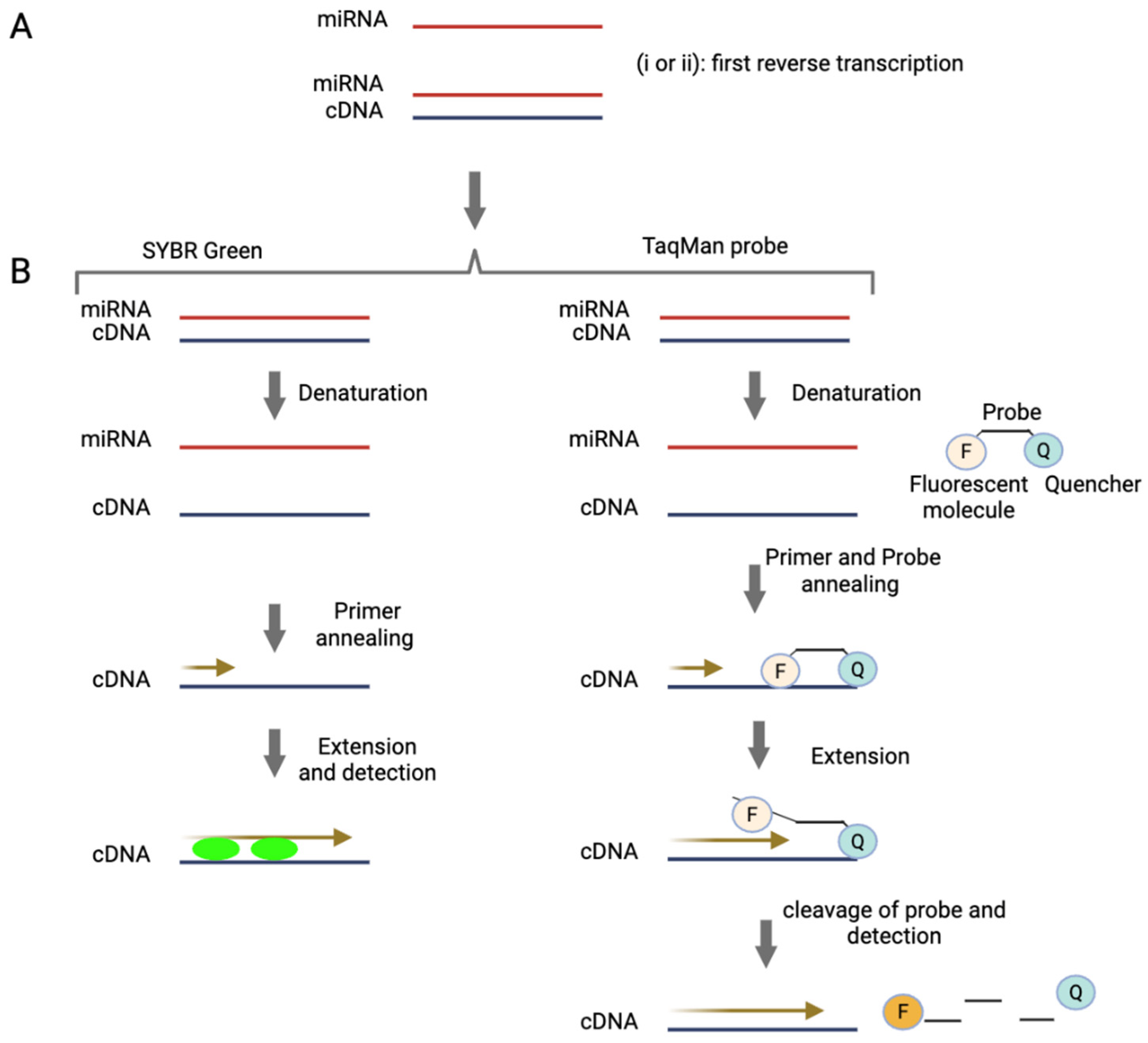 Preprints 168370 g001