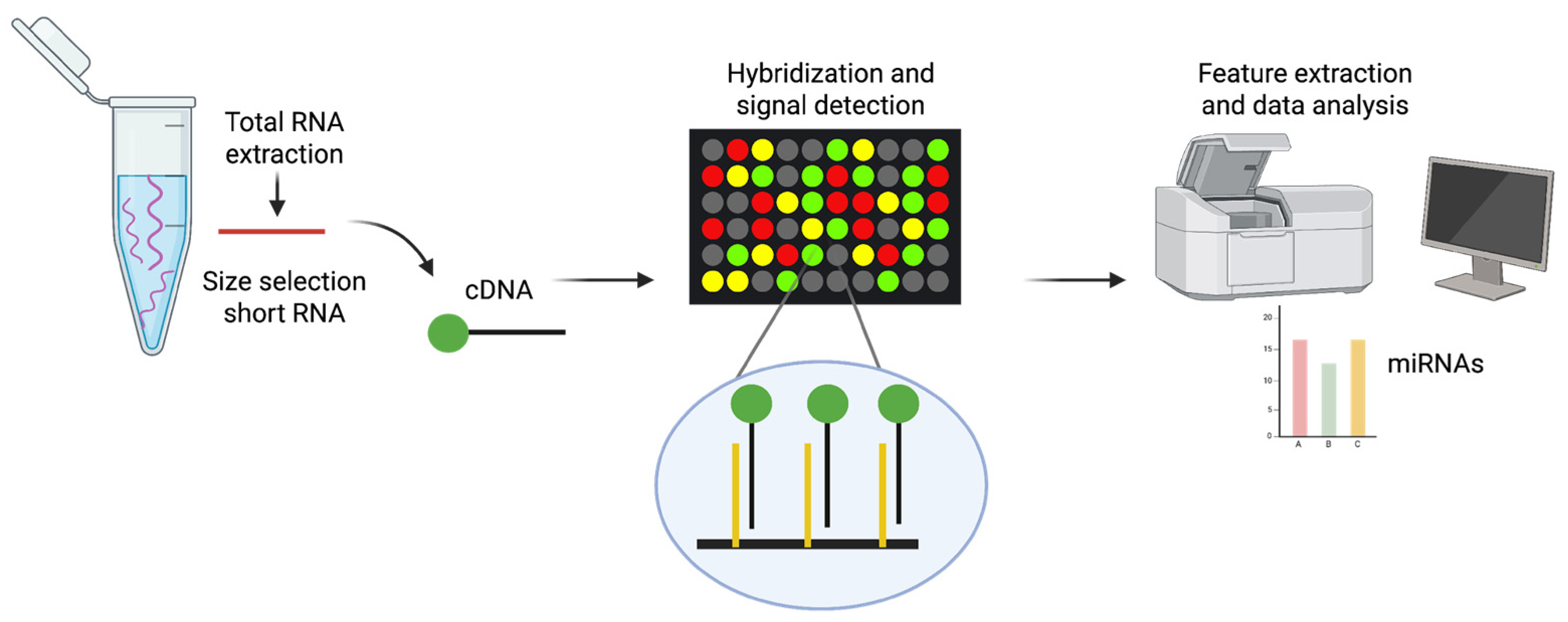 Preprints 168370 g002