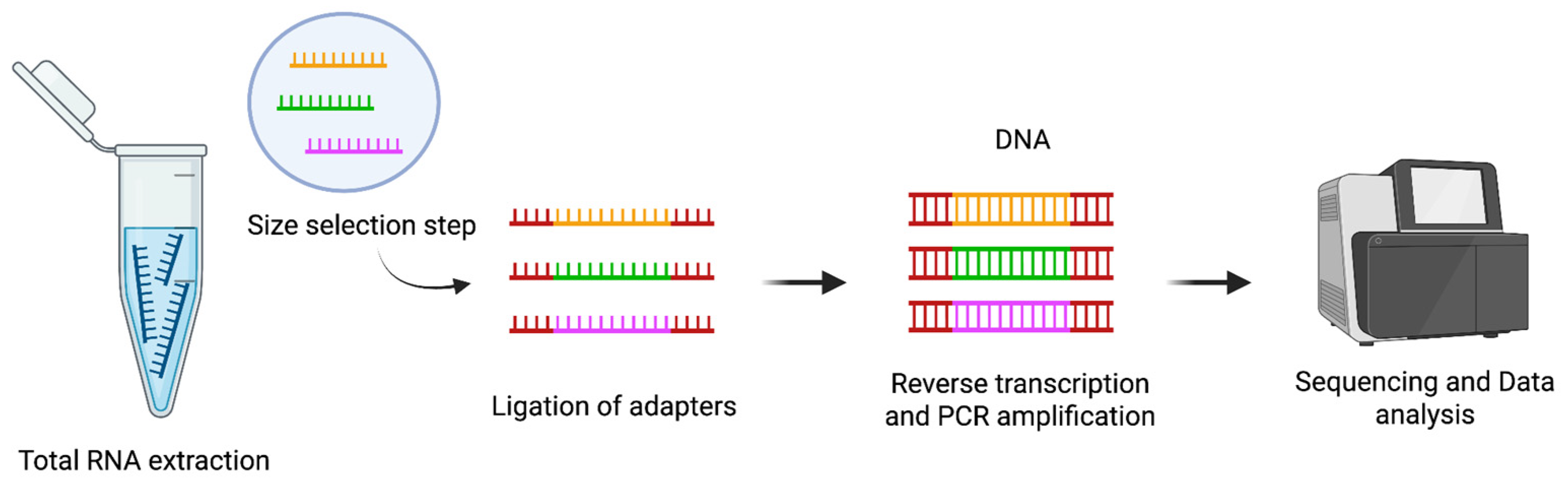 Preprints 168370 g003