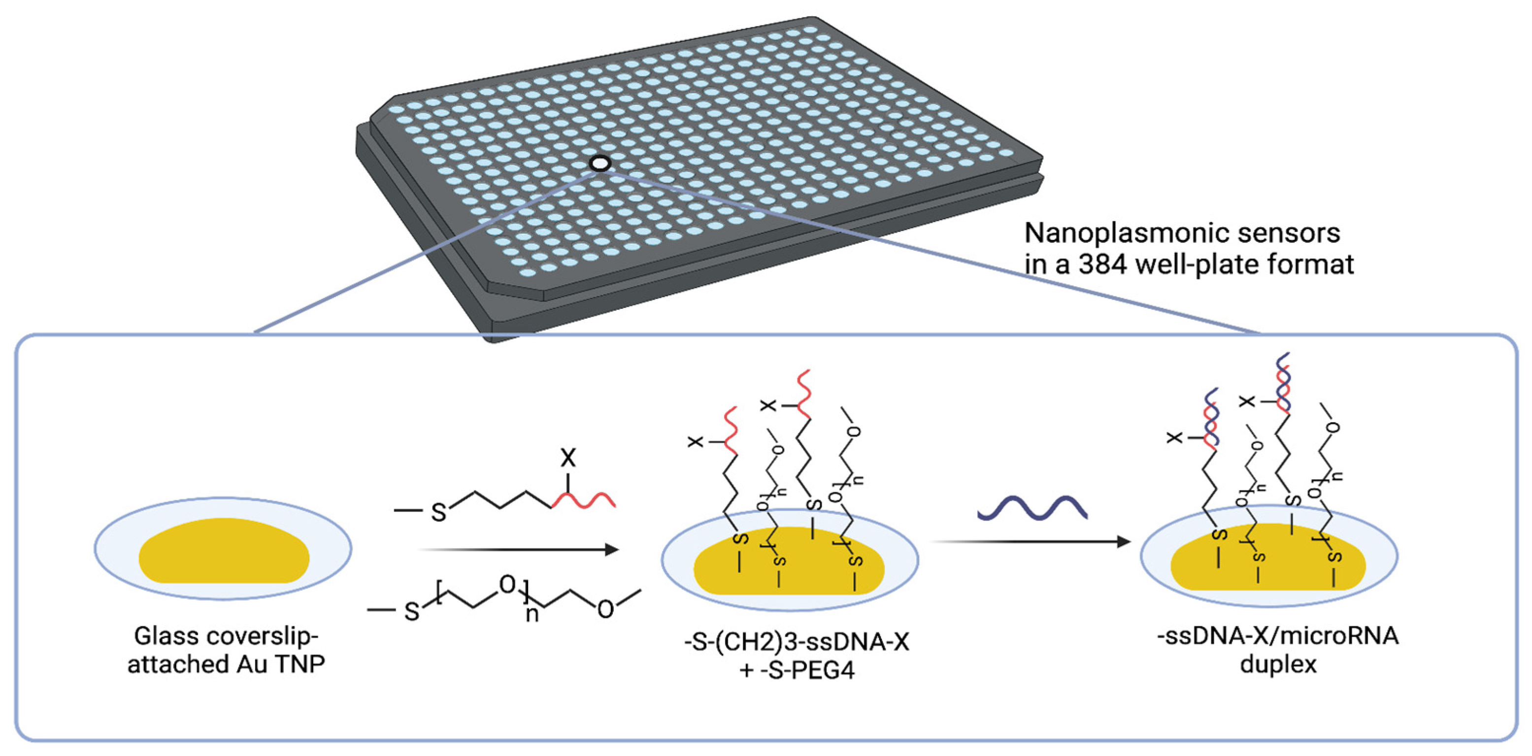 Preprints 168370 g004