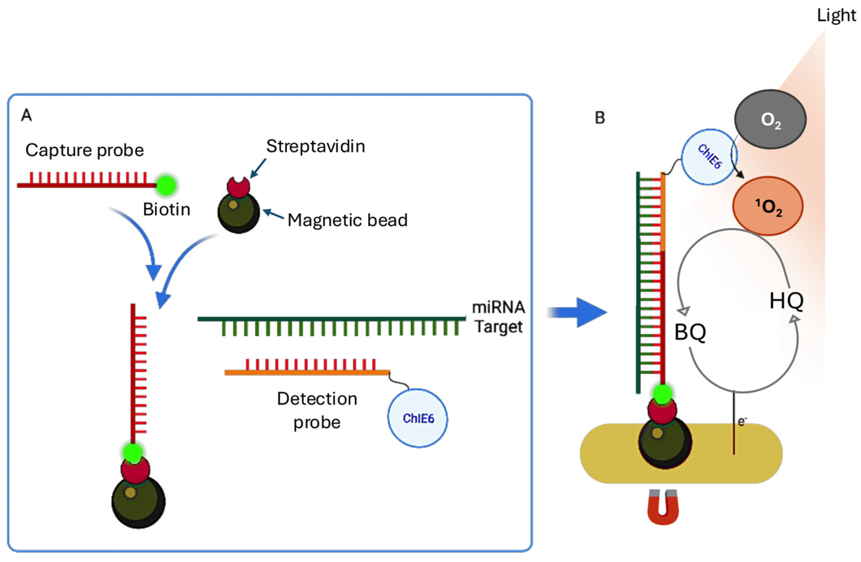 Preprints 168370 g006