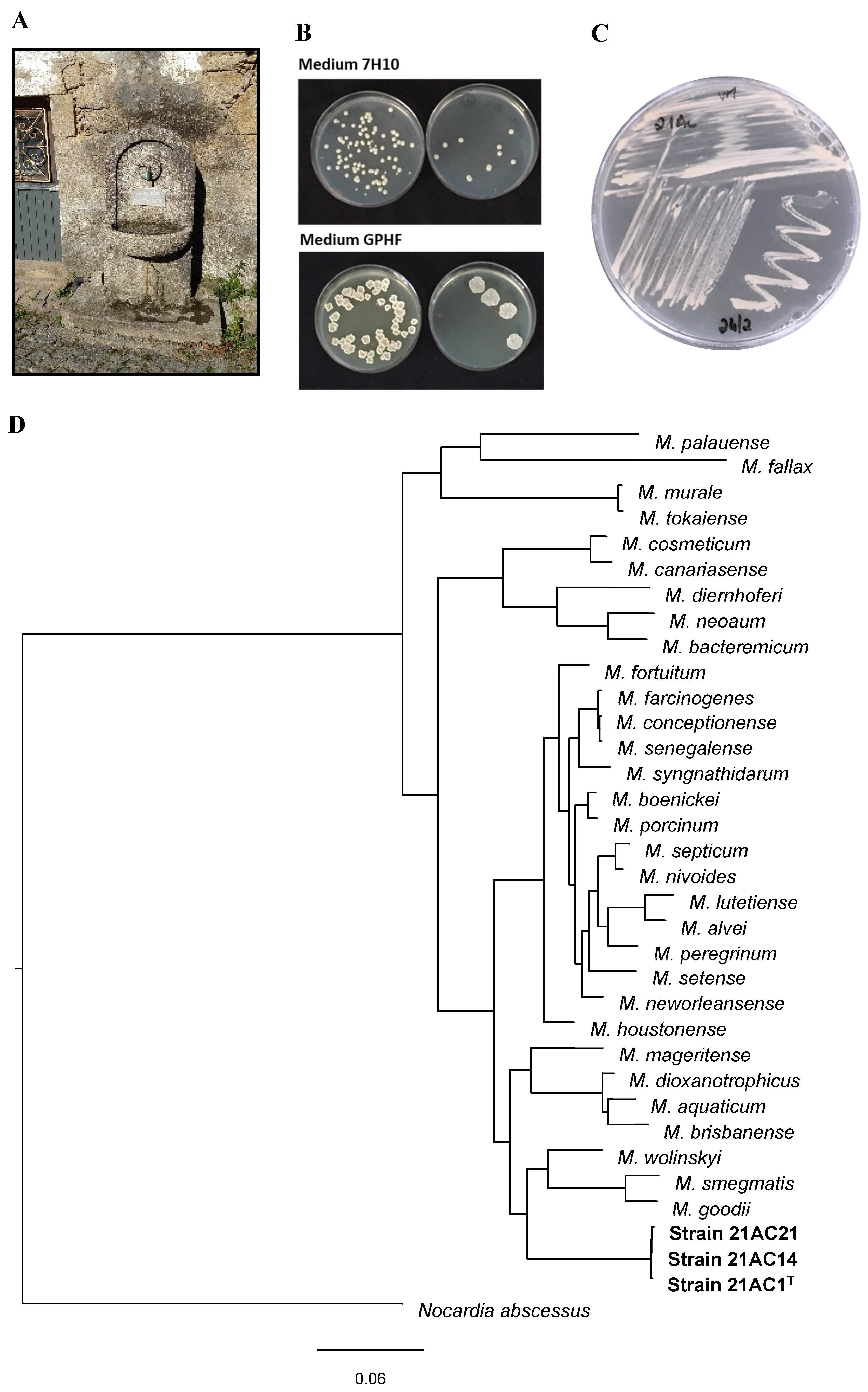 Preprints 157995 g001