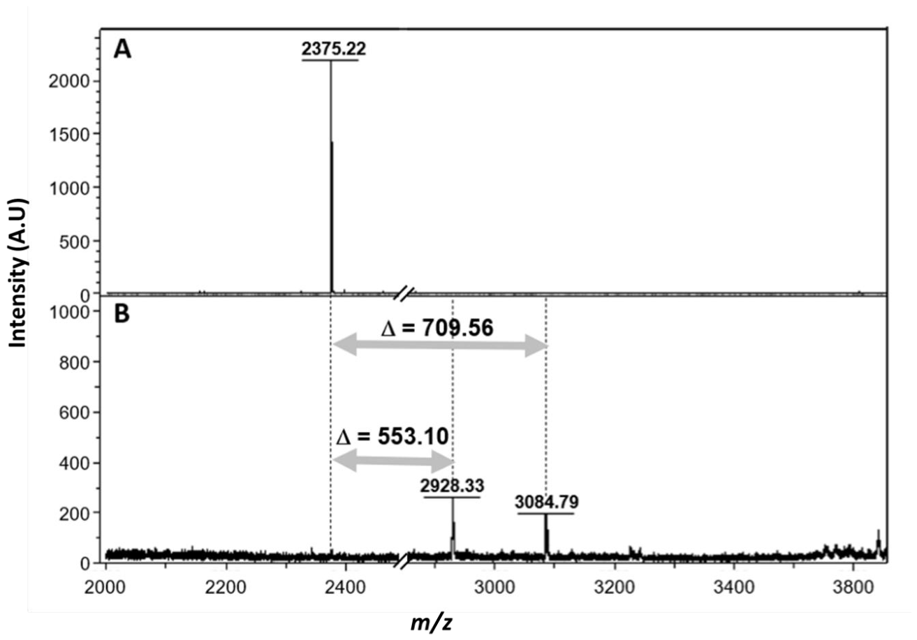 Preprints 229588 g005 Preprints 229588 g005