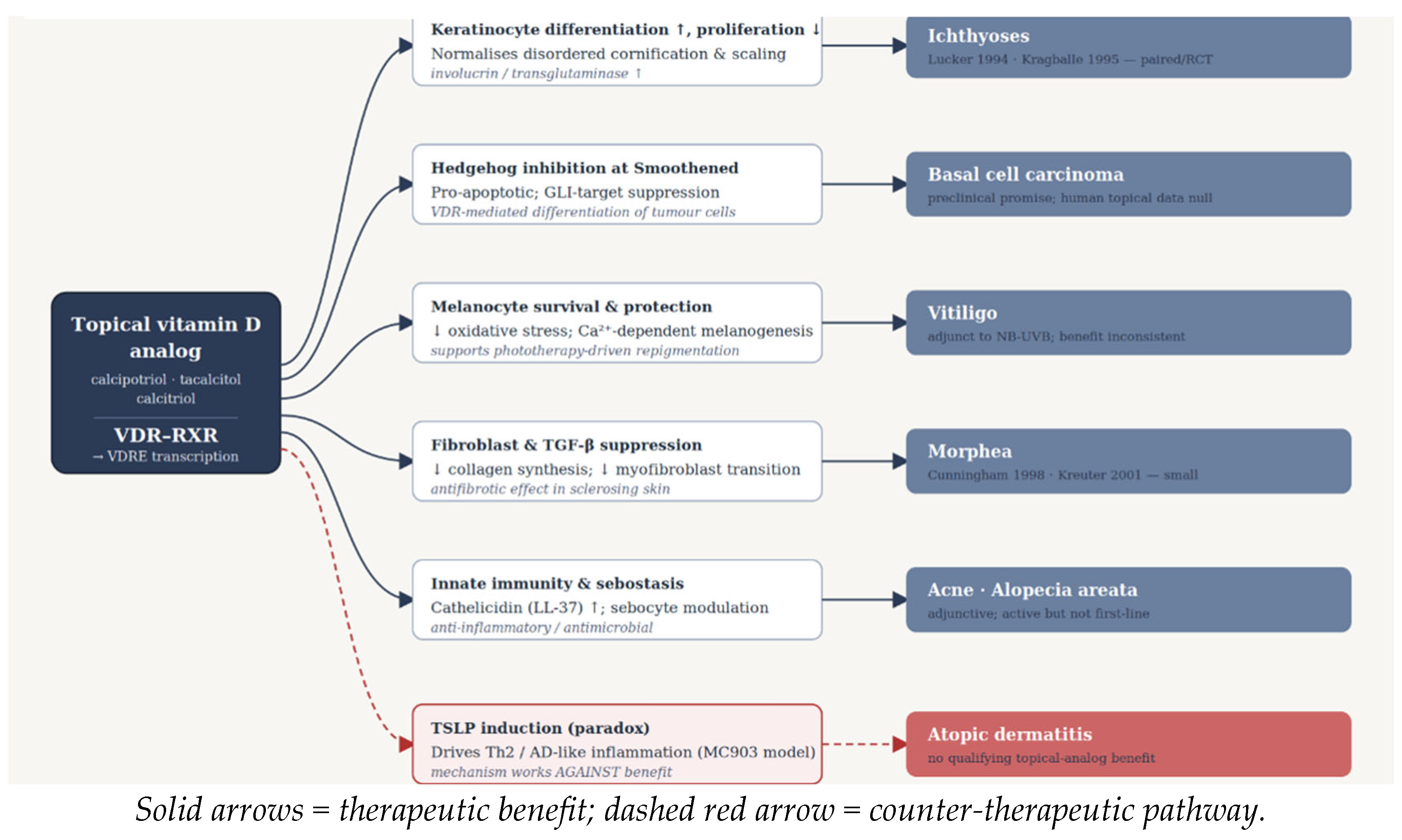 Preprints 232002 g003 Preprints 232002 g003