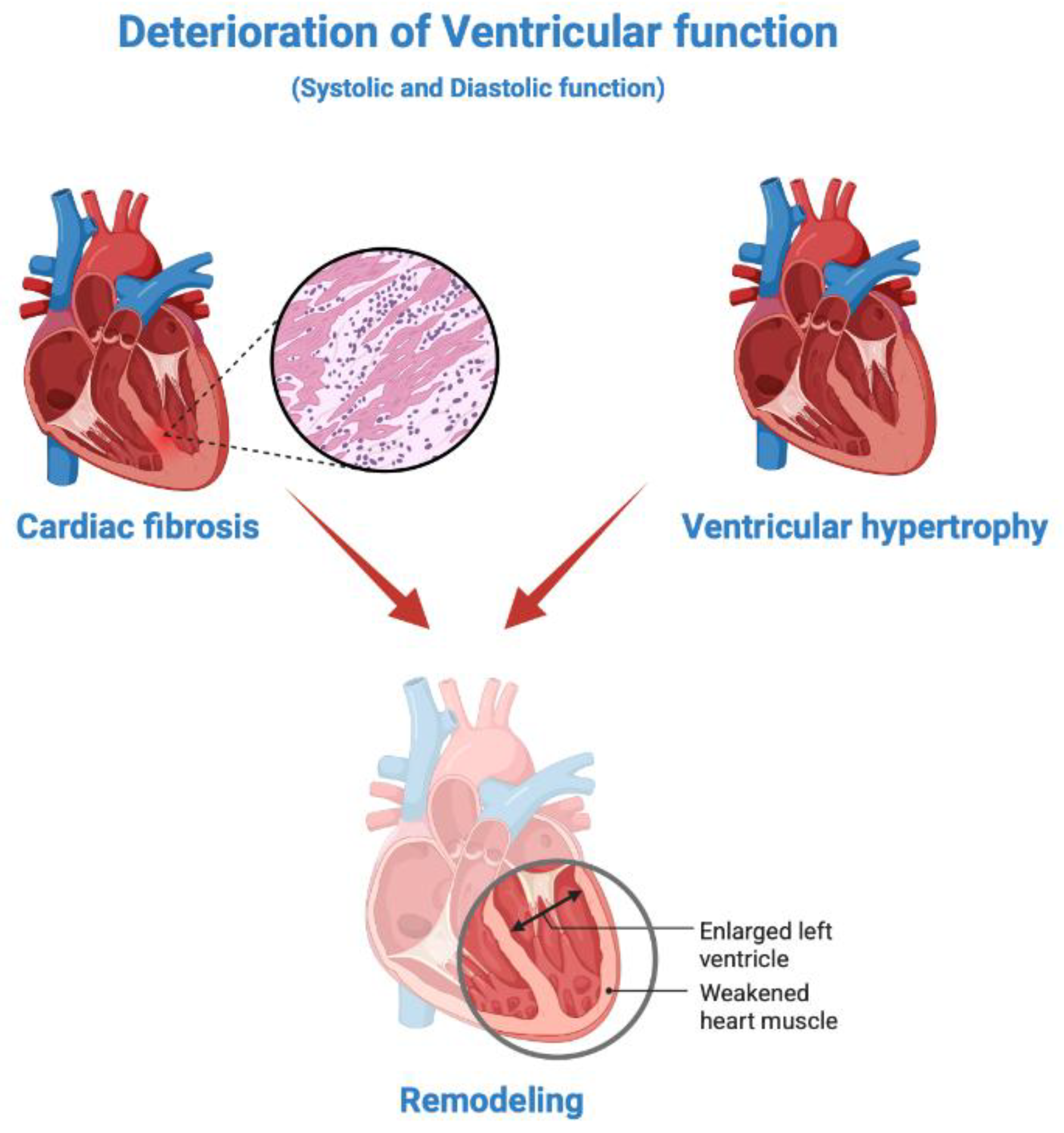 Preprints 168721 g002