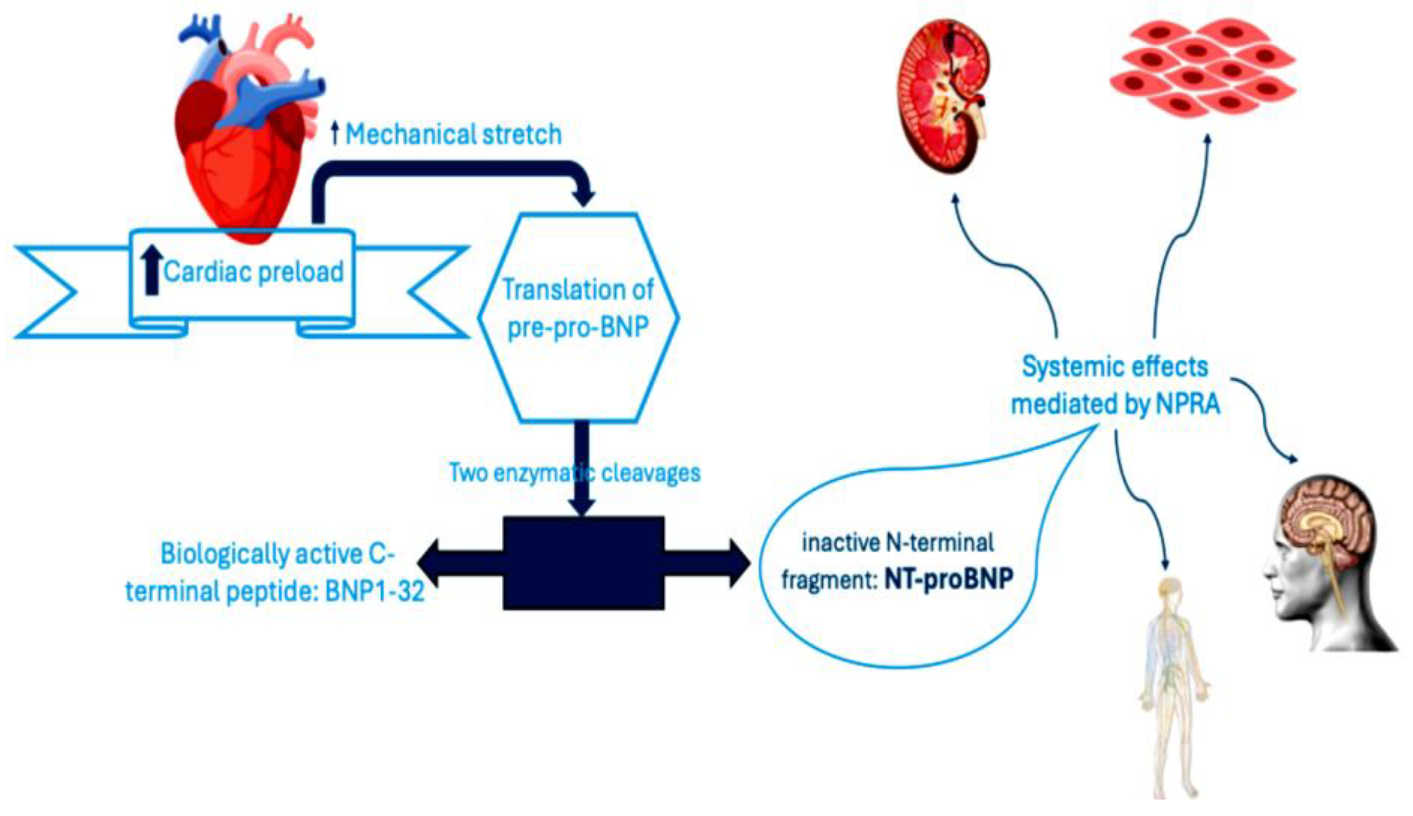 Preprints 168721 g003