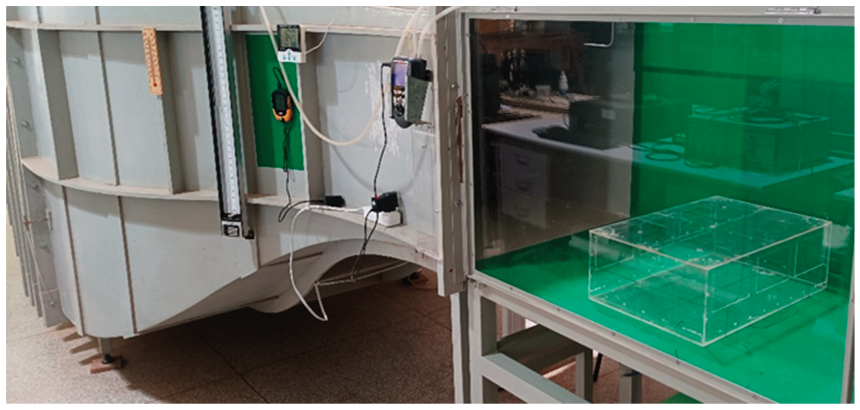 Preprints 194353 g002