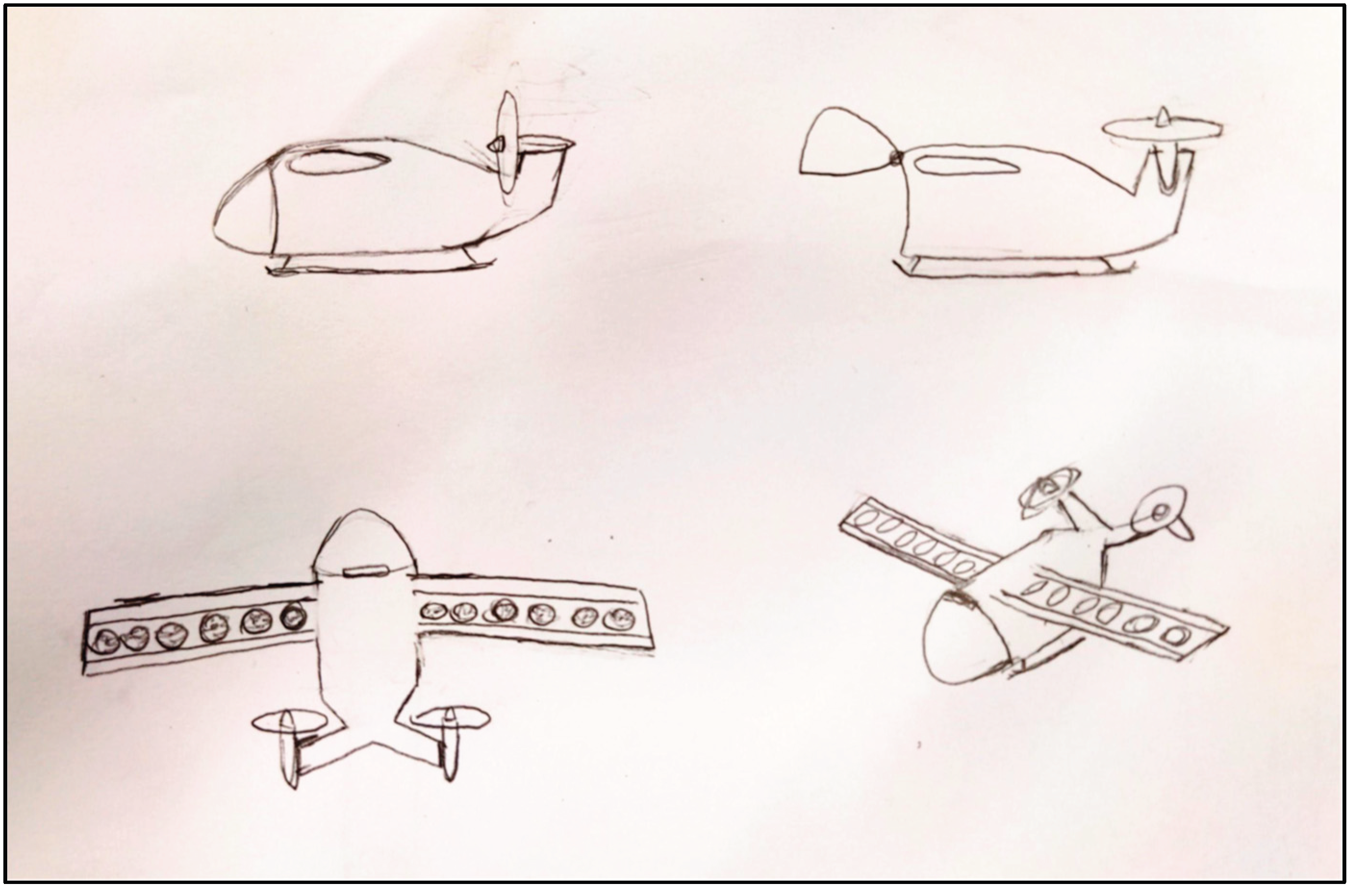 Preprints 190640 g004