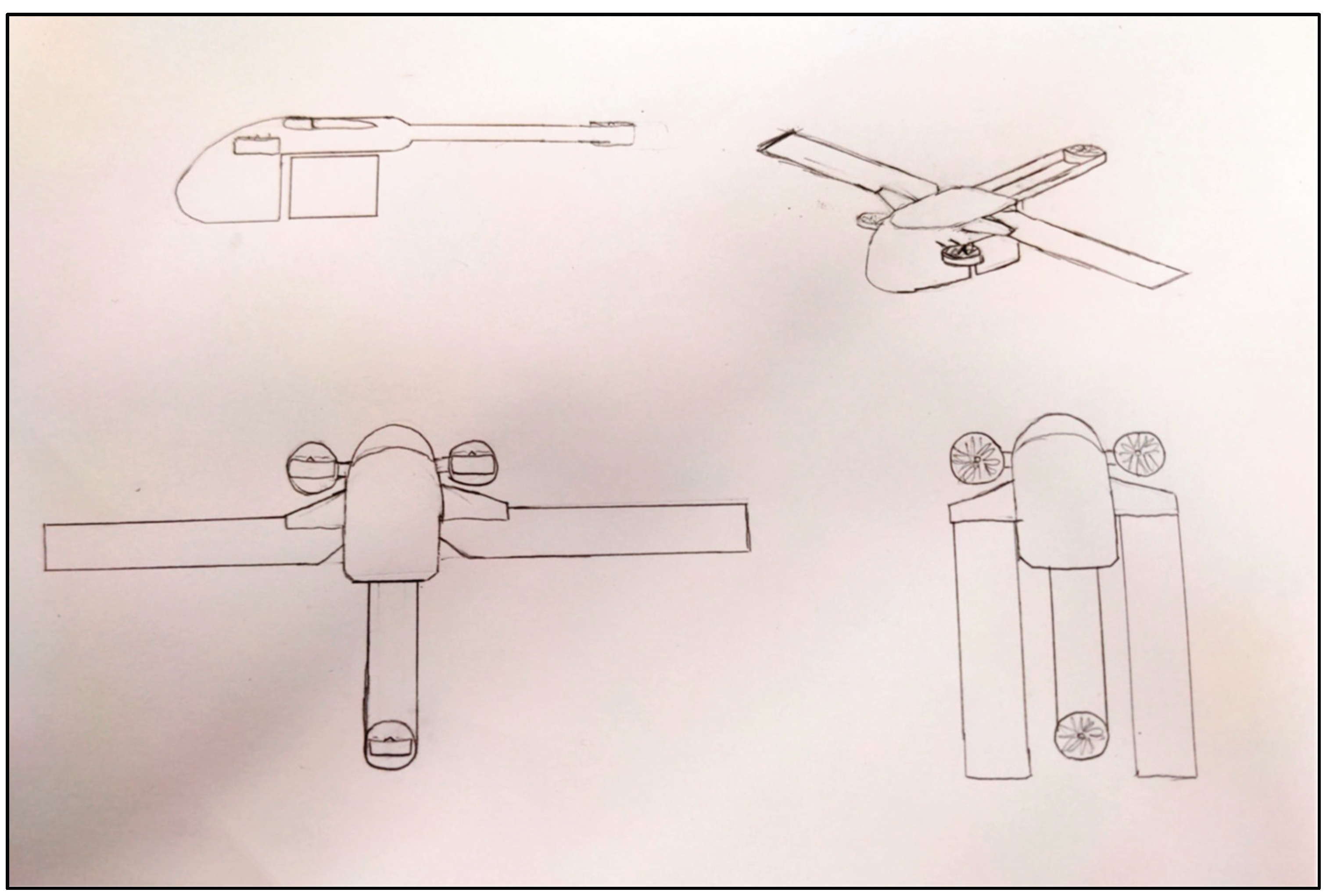 Preprints 190640 g005