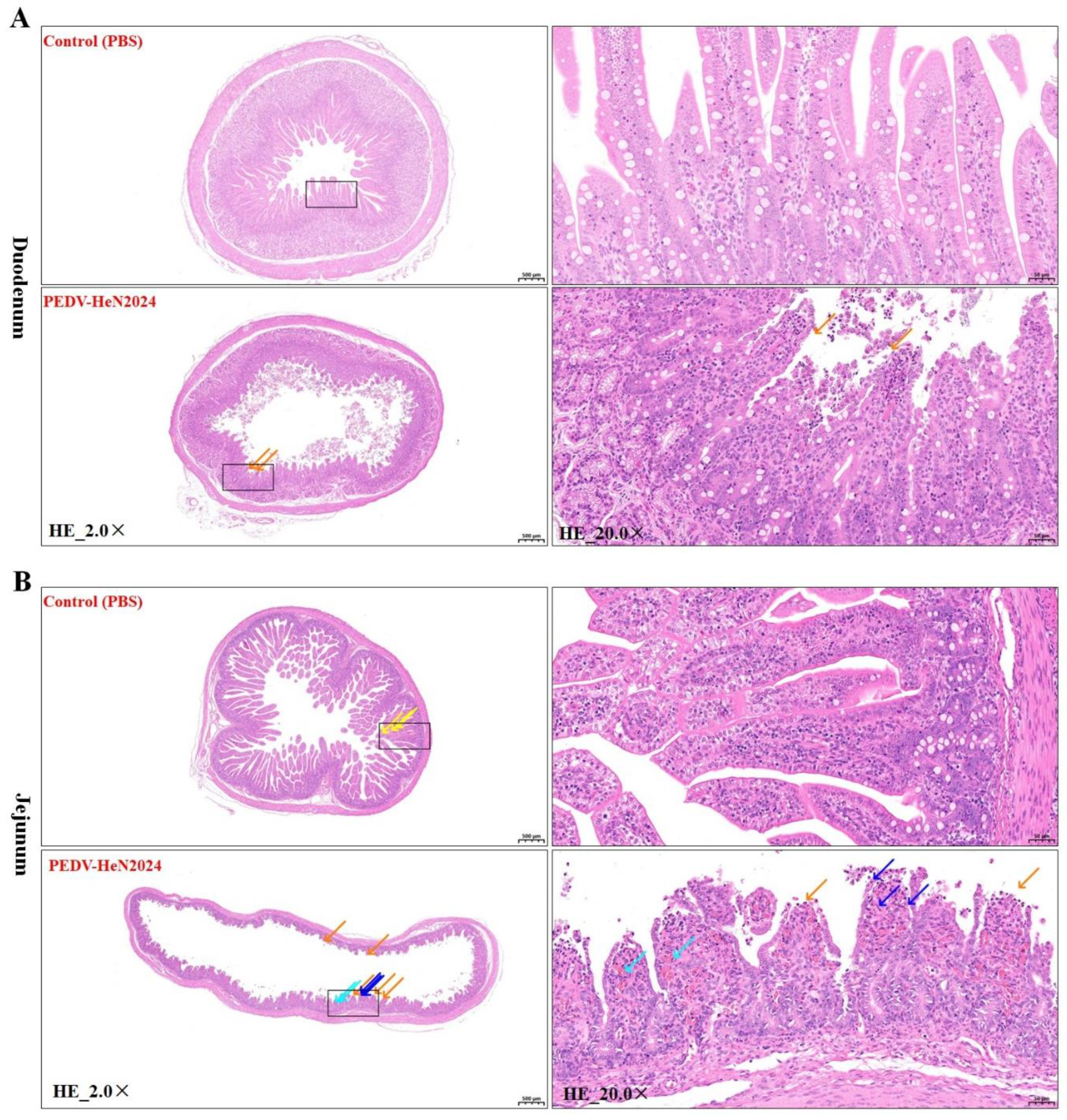Preprints 190489 g003