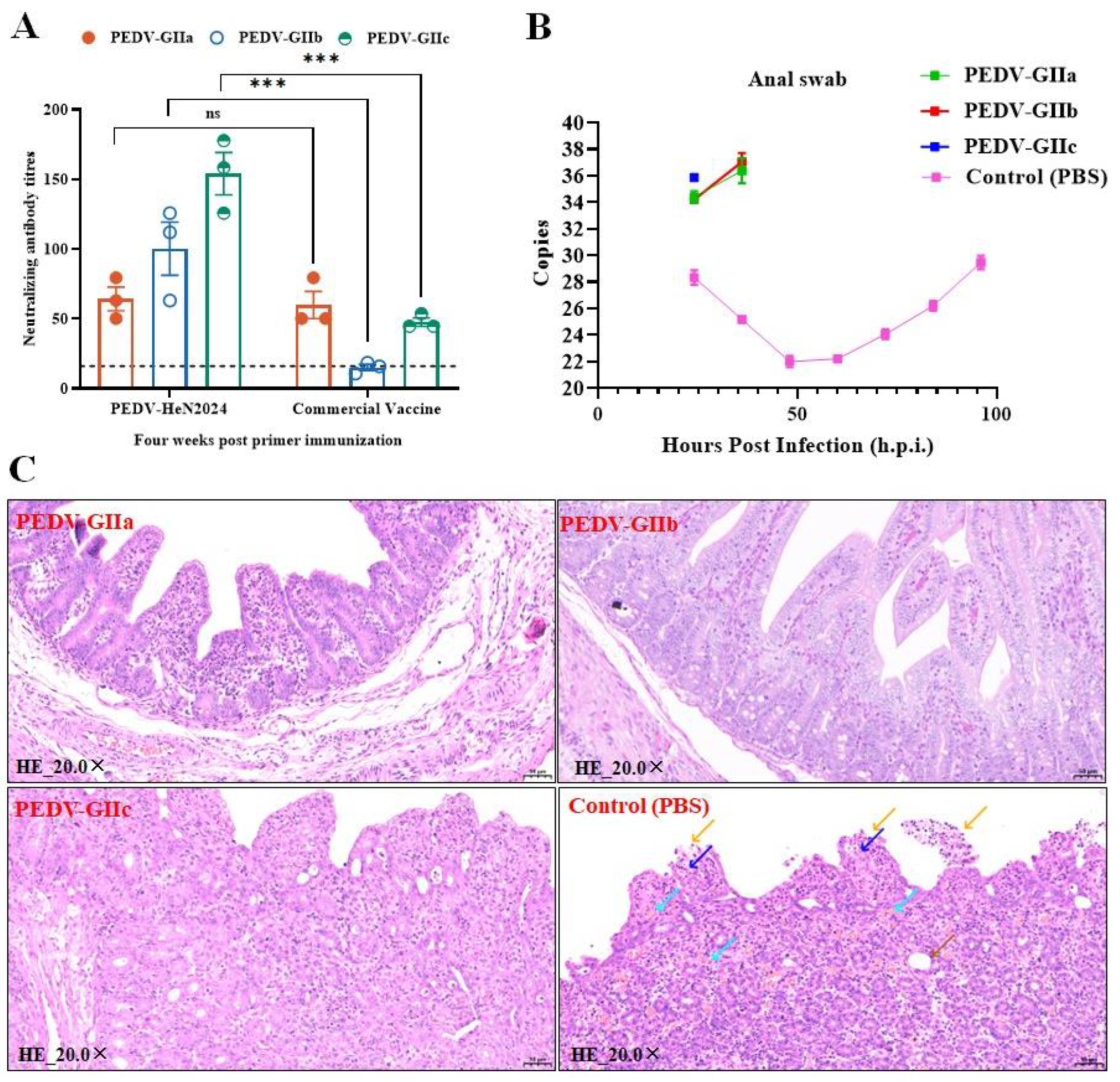Preprints 190489 g005