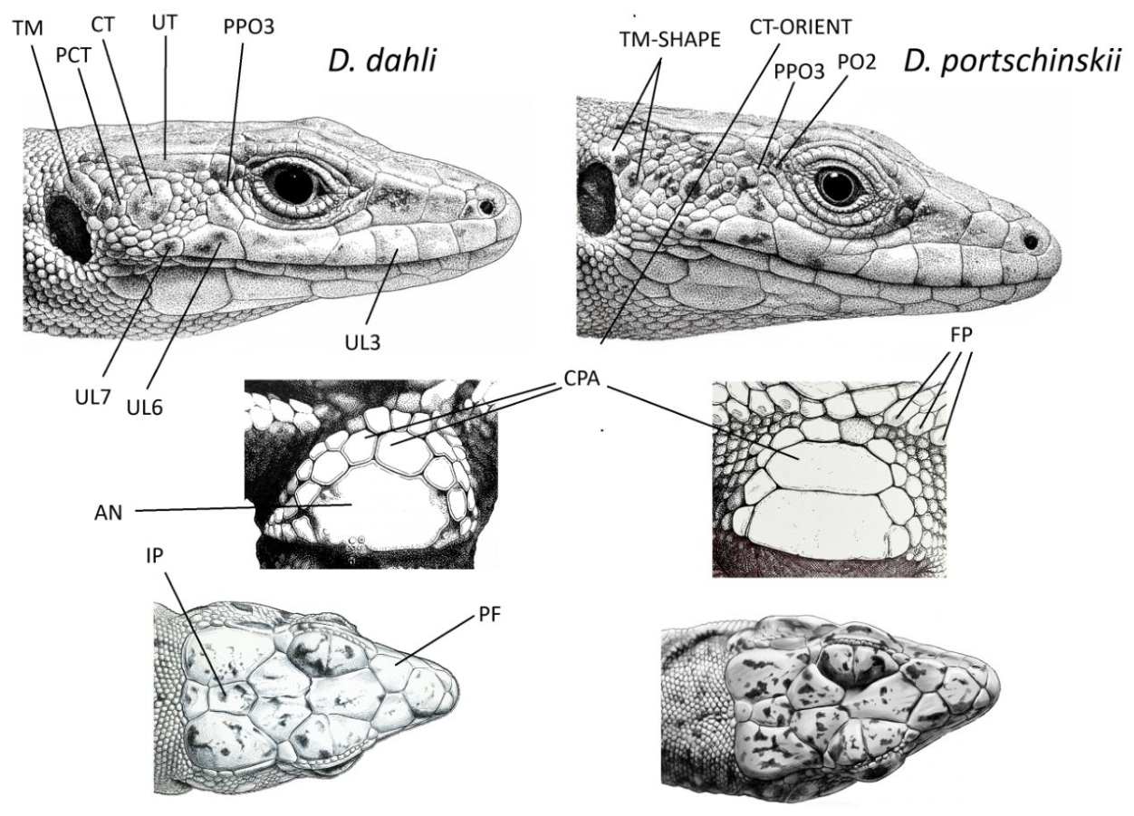 Preprints 210606 g002