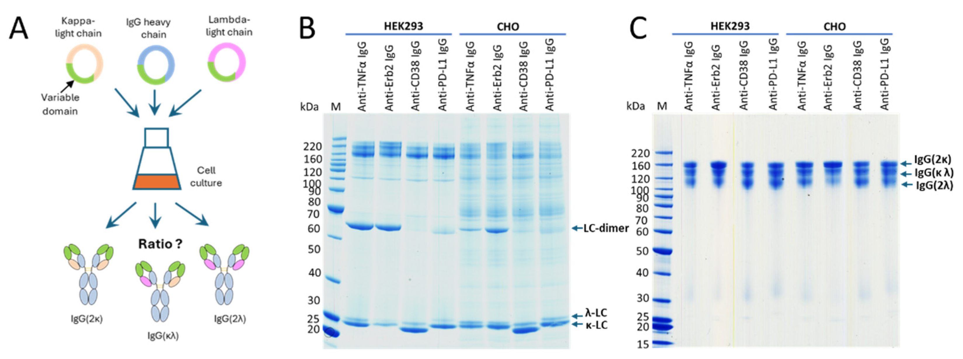 Preprints 160636 g003