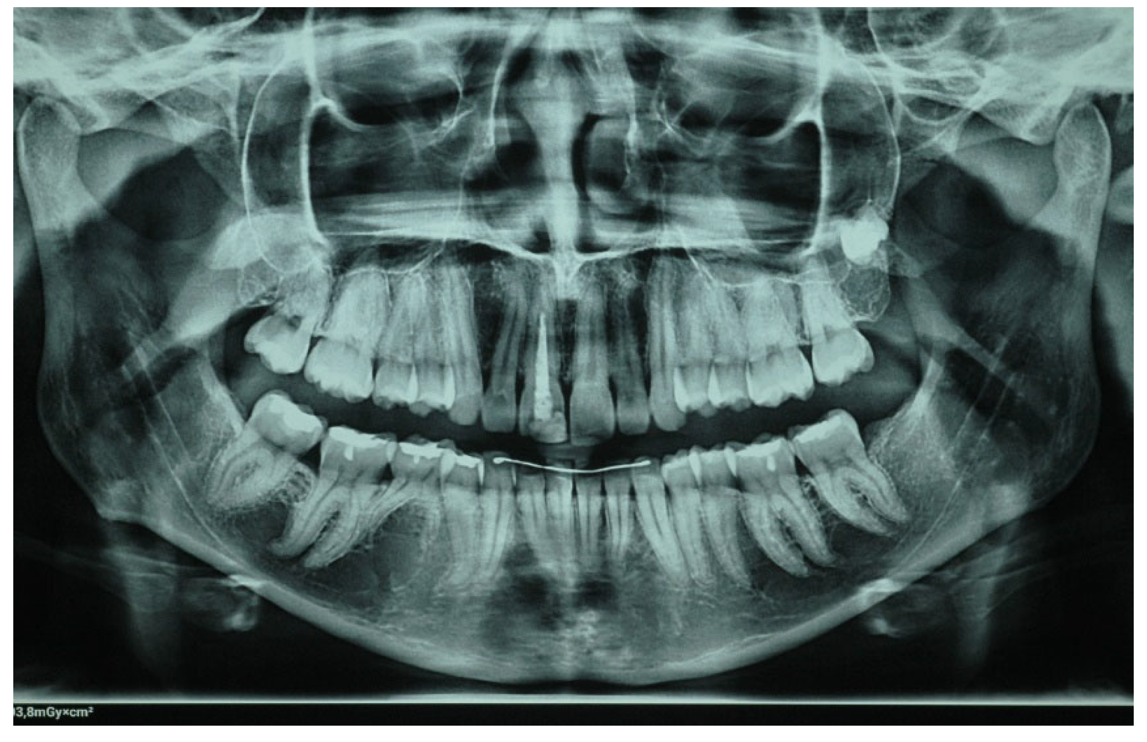 Preprints 117327 g002