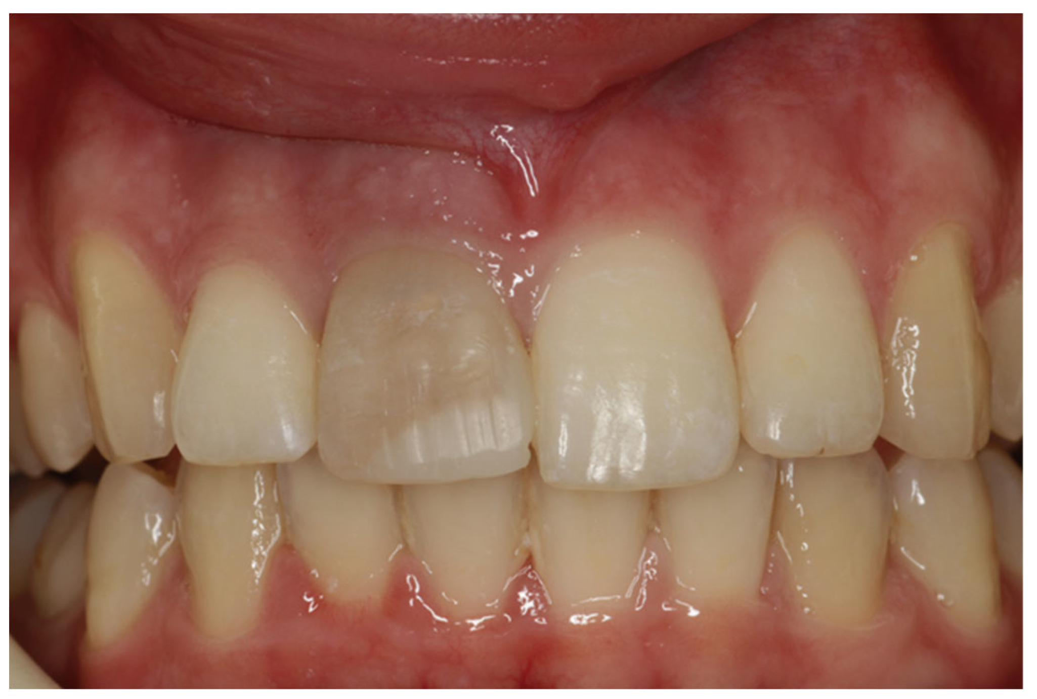 Preprints 117327 g003