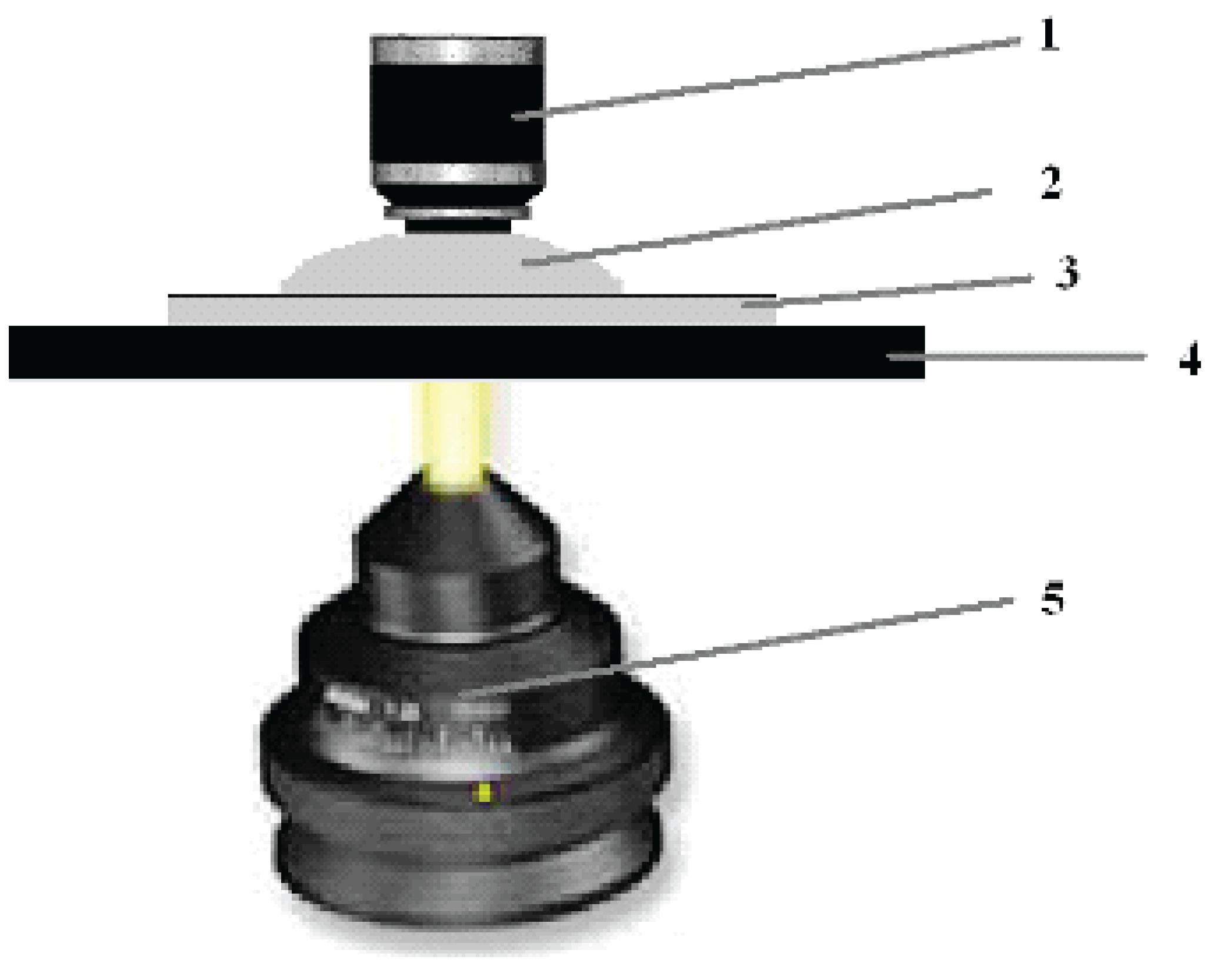 Preprints 171922 g001