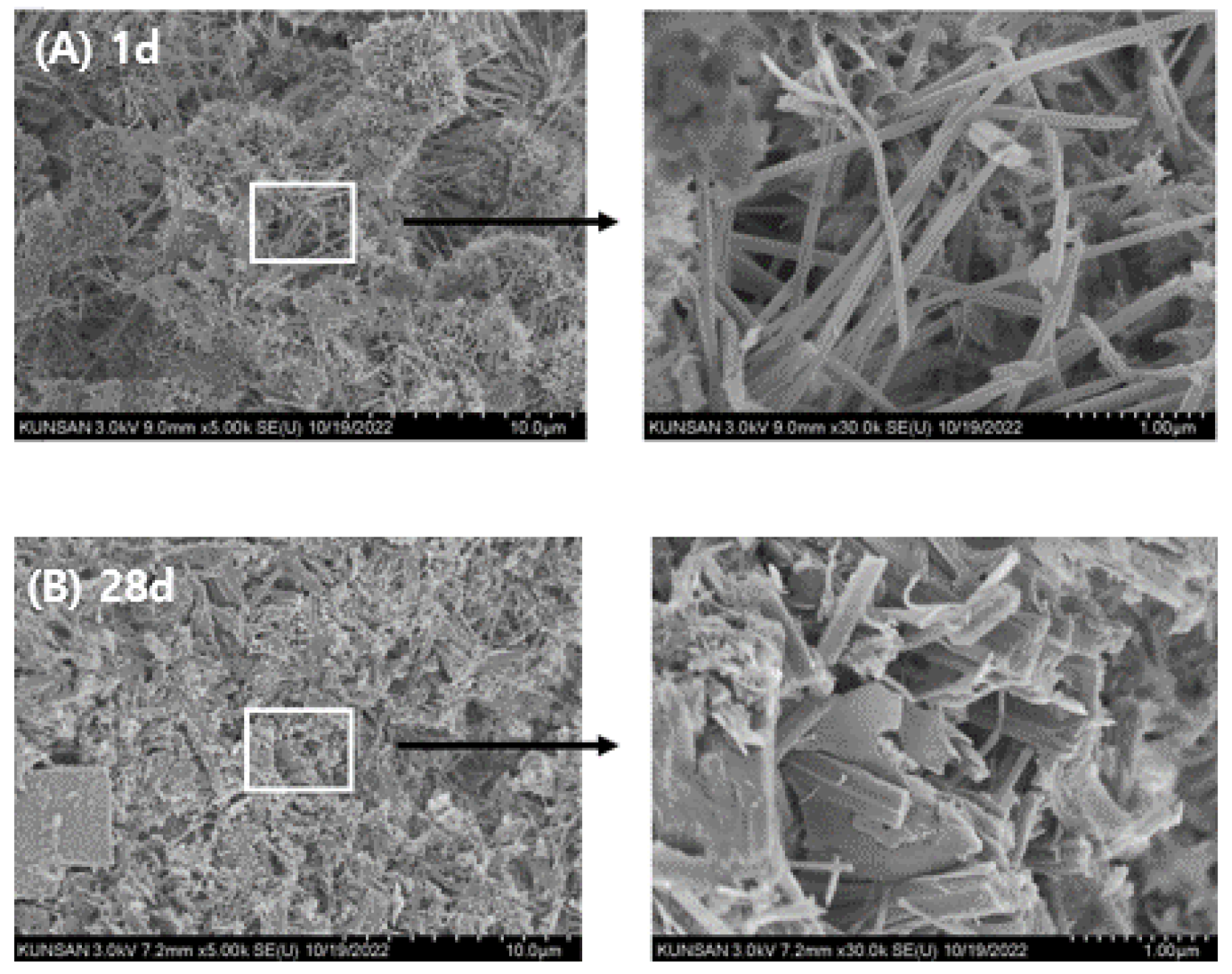 Preprints 179375 g011