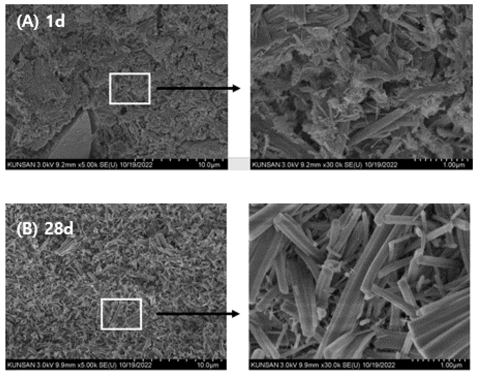 Preprints 179375 g012