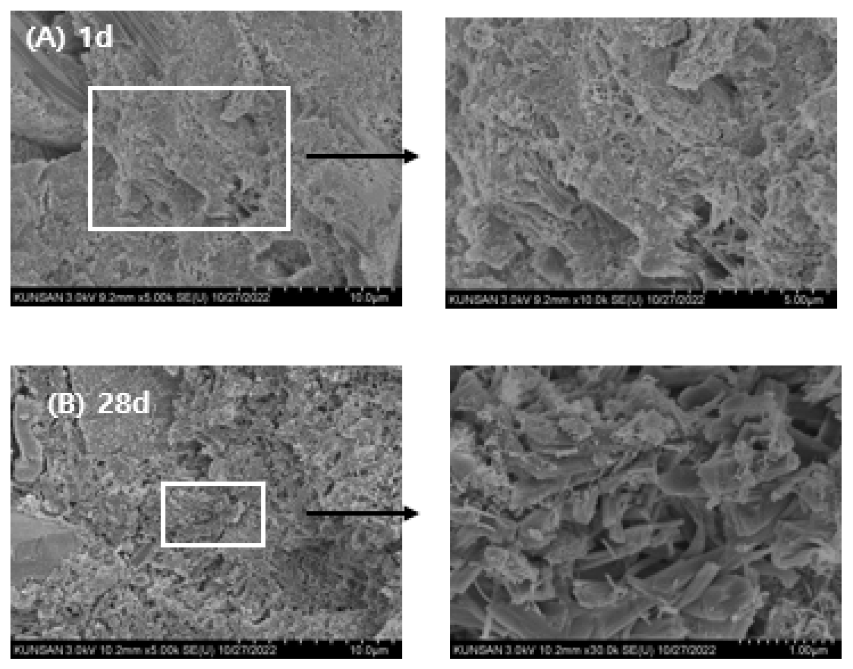 Preprints 179375 g013
